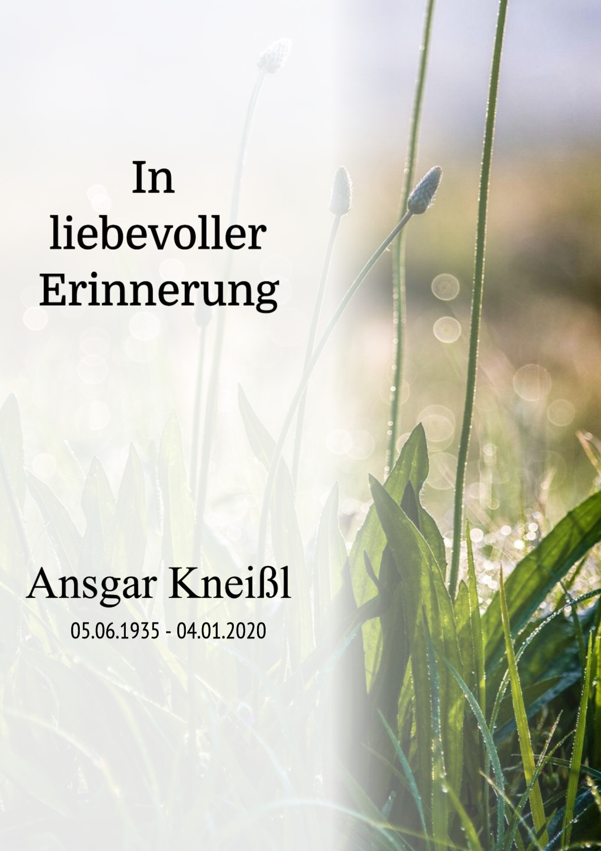 Traueranzeige von Ansgar Kneißl