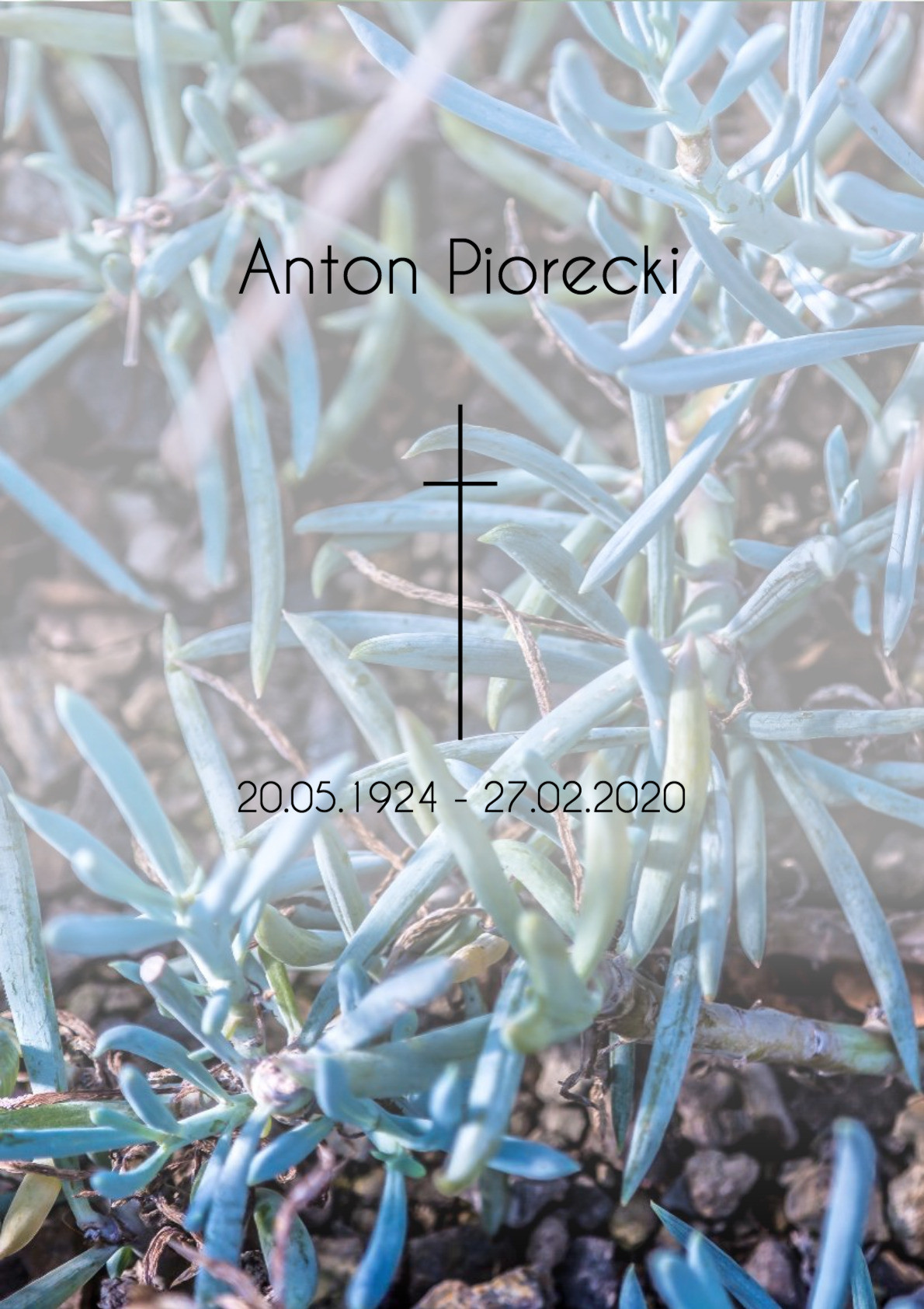 Traueranzeige von Anton Piorecki