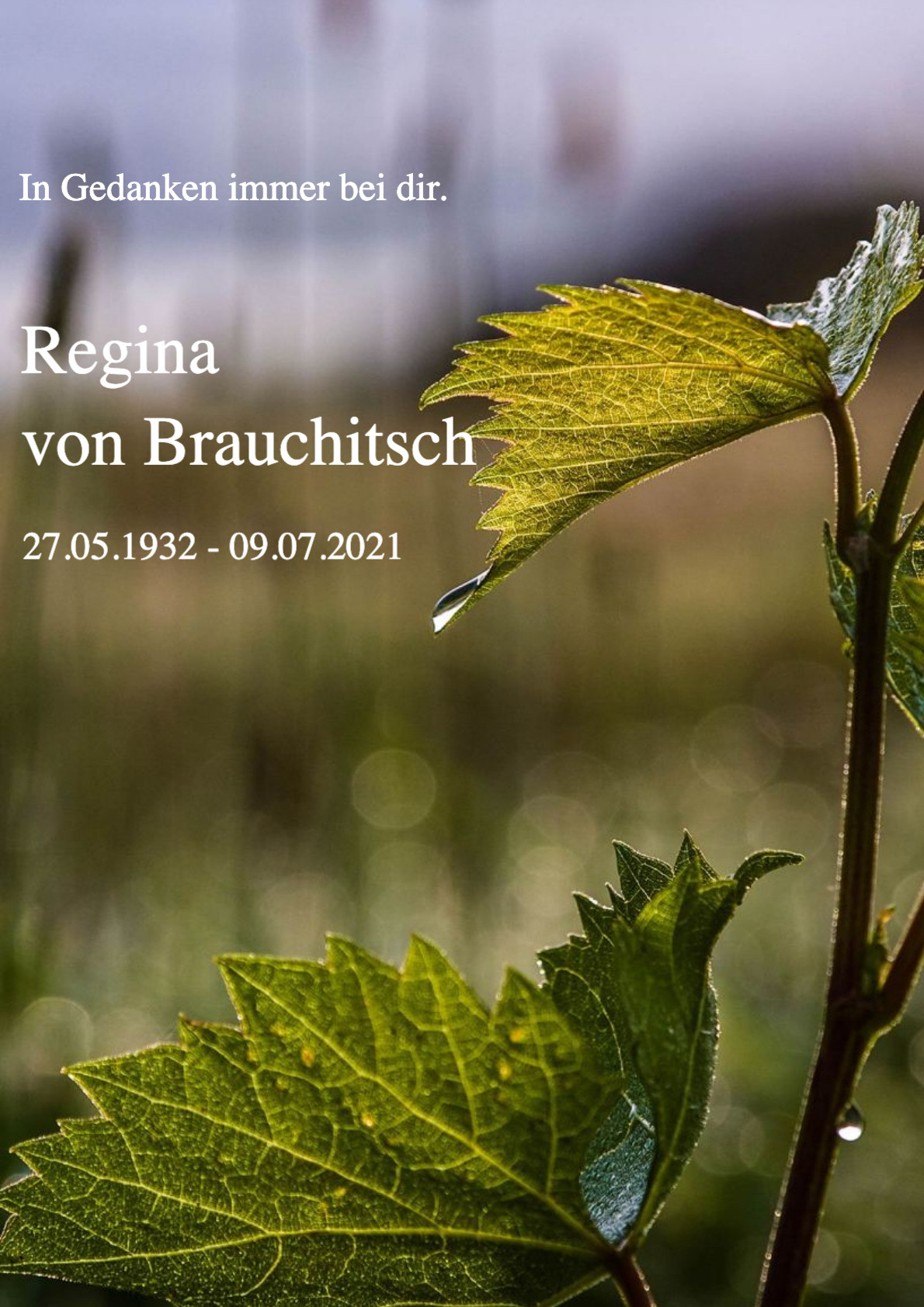 Traueranzeige von Regina von Brauchitsch