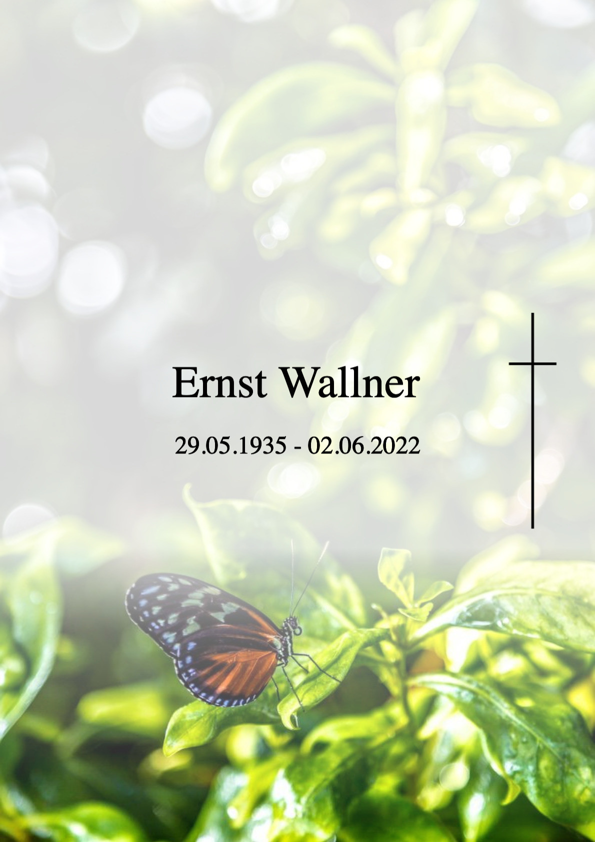 Traueranzeige von Ernst Wallner