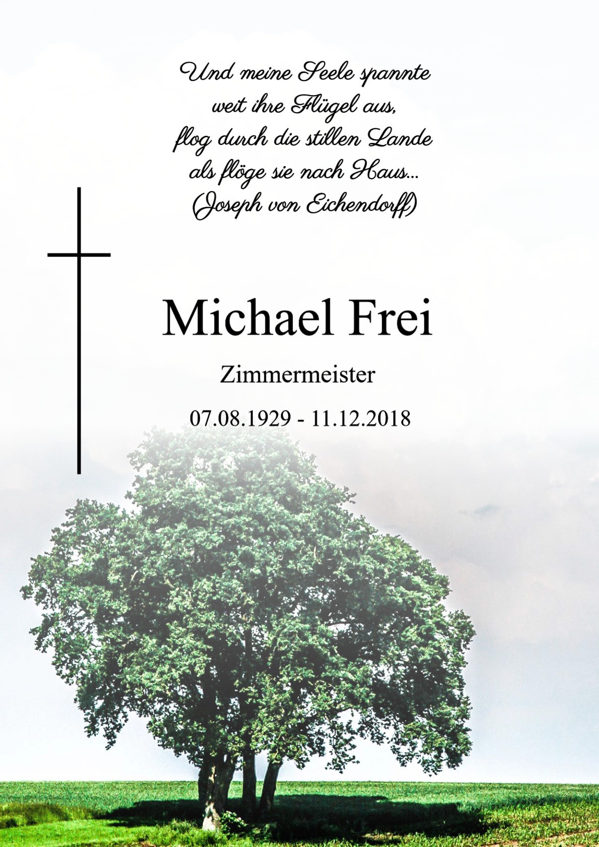 Traueranzeige von Michael Frei