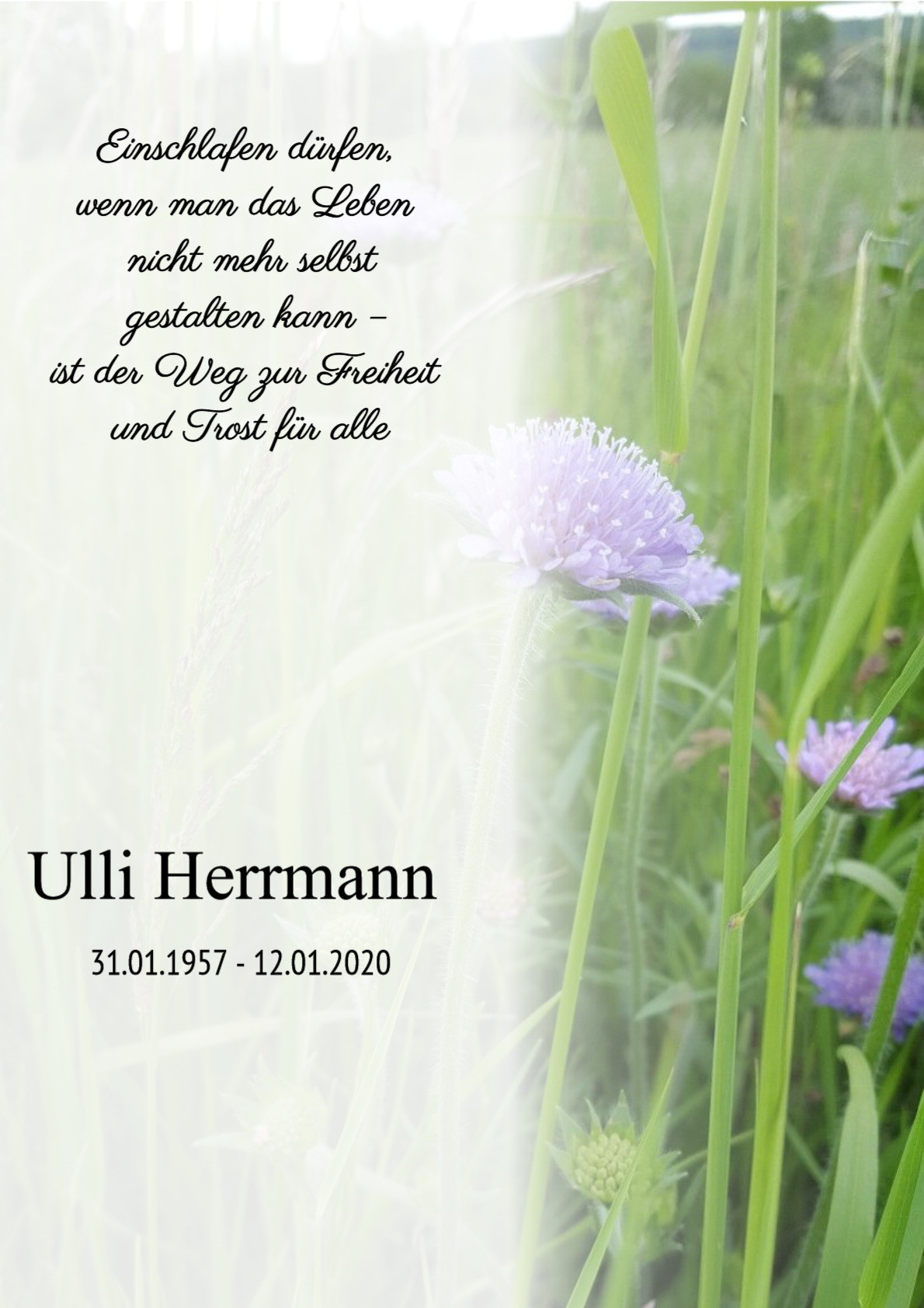 Traueranzeige von Ulli Herrmann