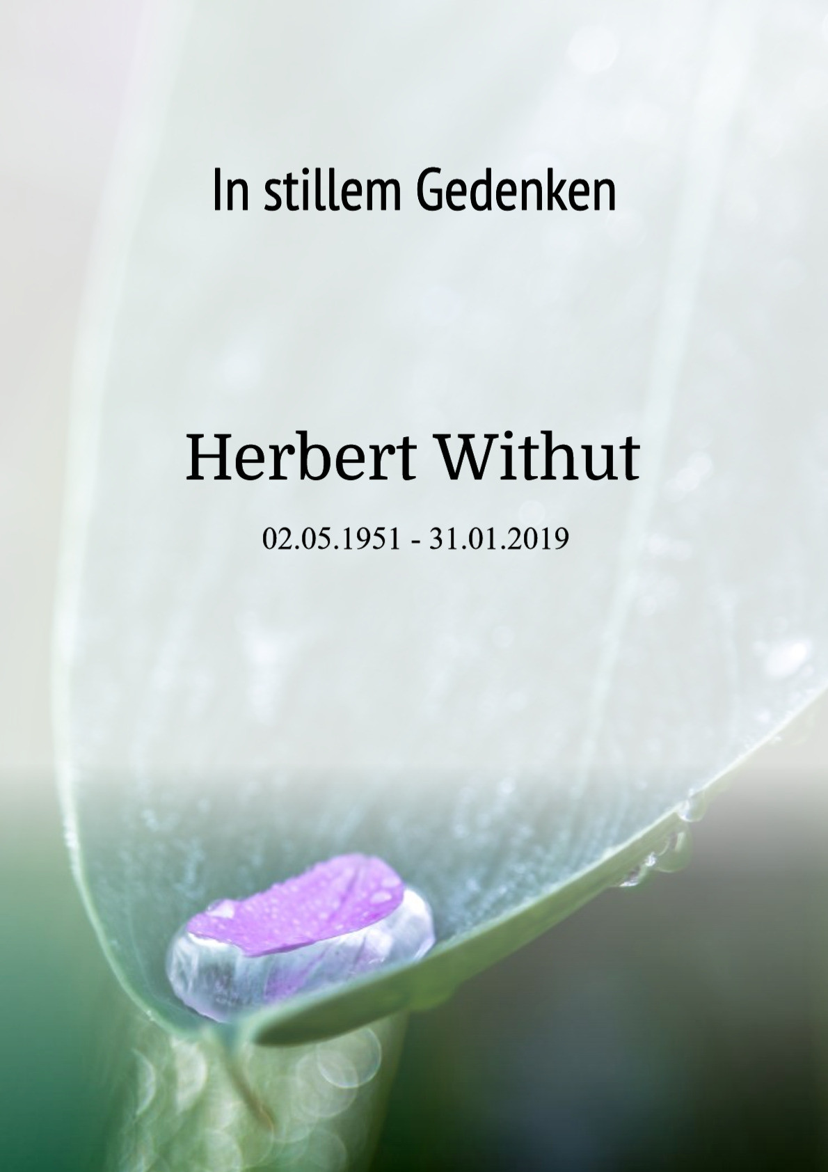 Traueranzeige von Herbert Withut