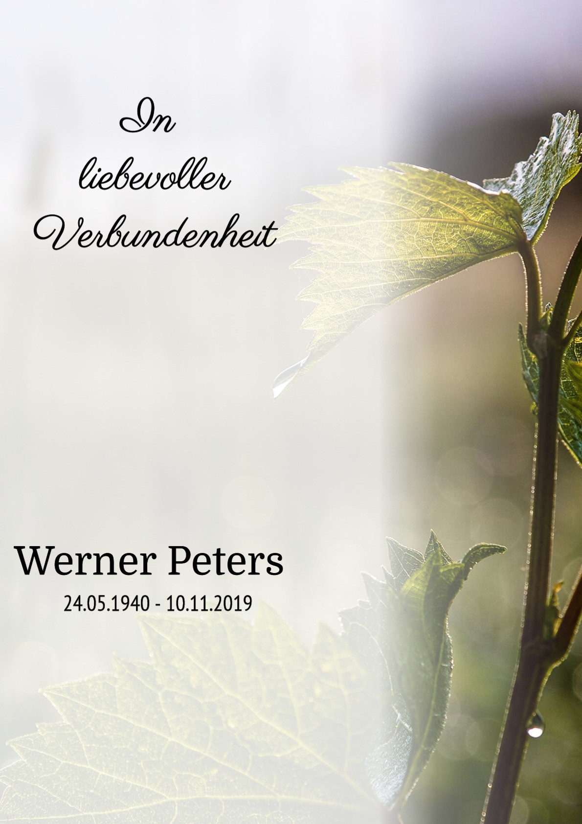 Traueranzeige von Werner Peters