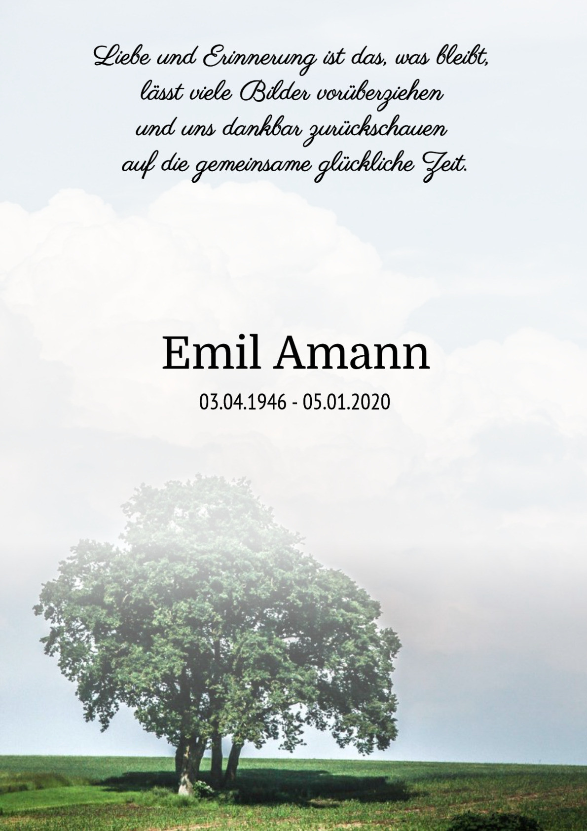 Traueranzeige von Emil Amann