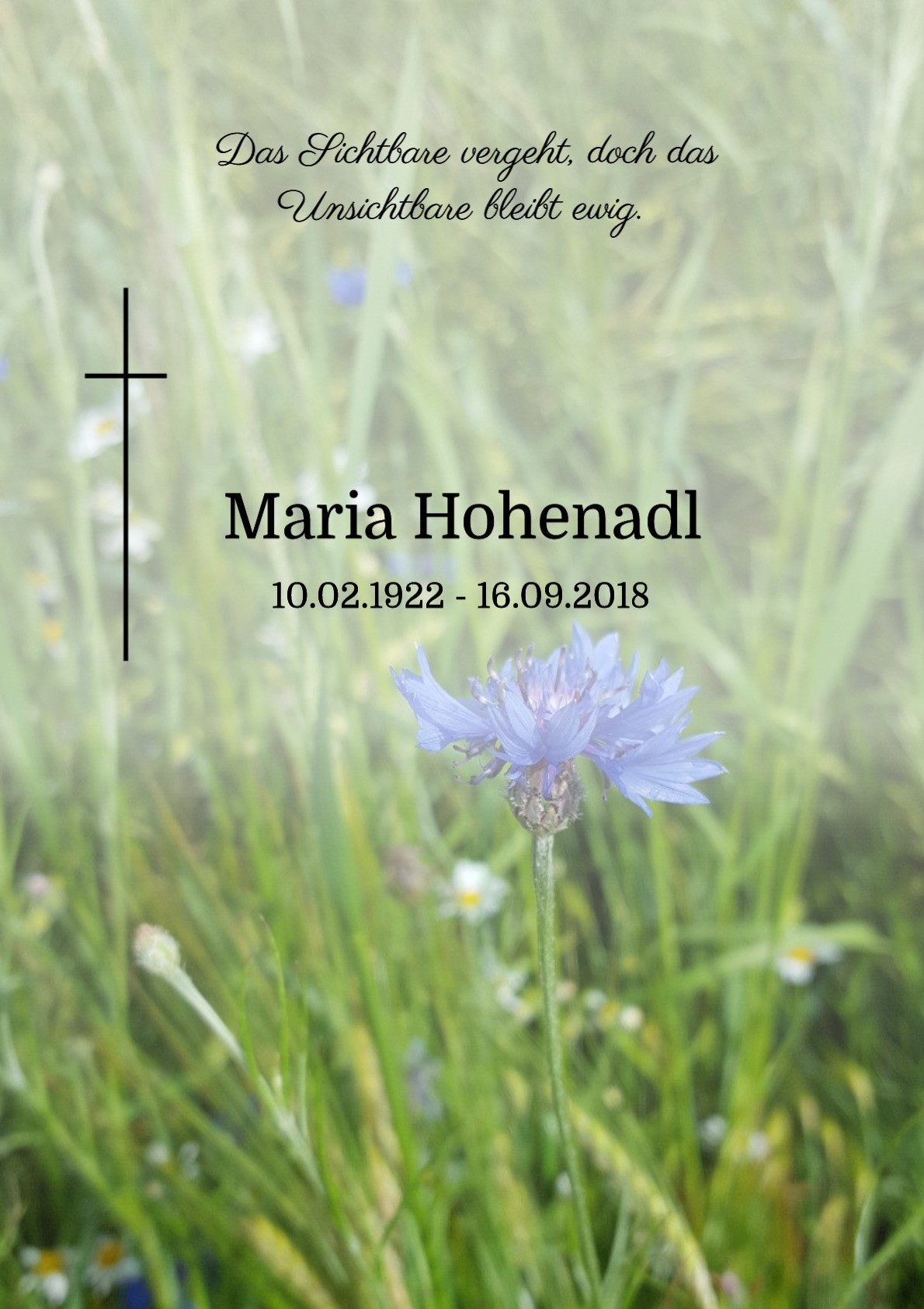 Traueranzeige von Maria Hohenadl