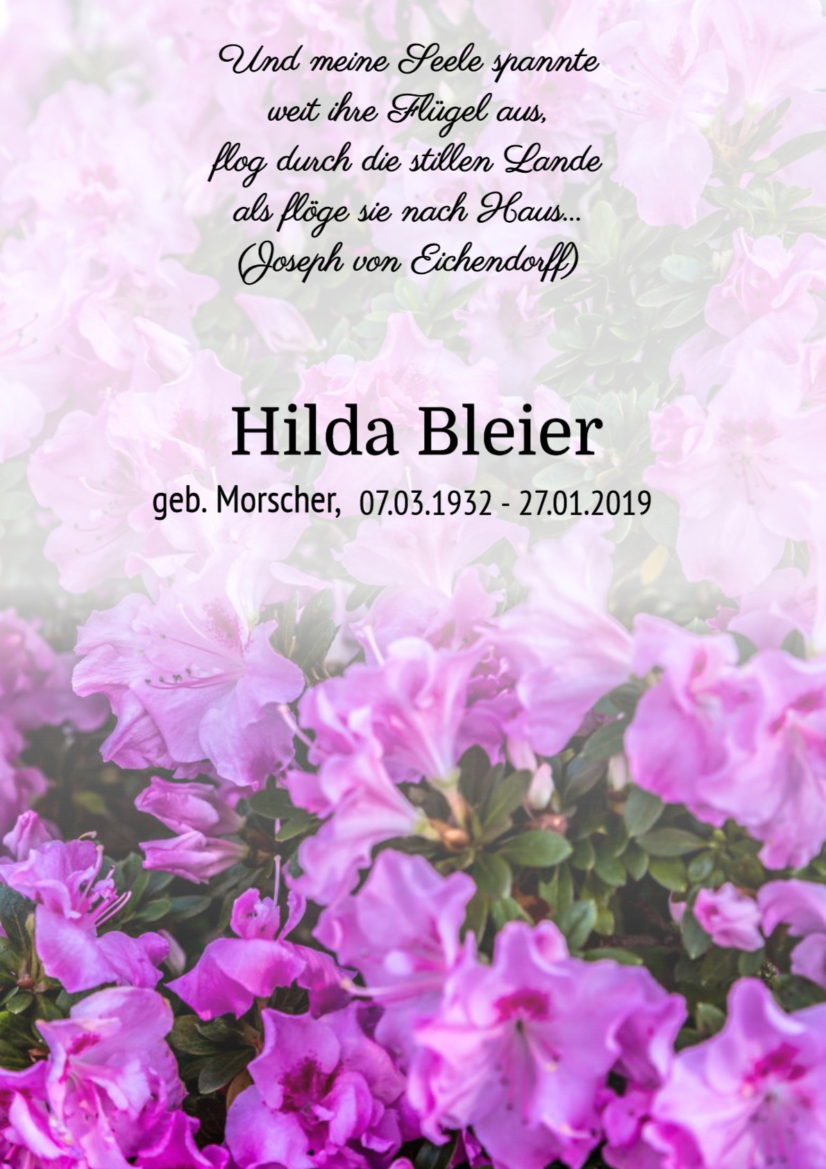 Traueranzeige von Hilda Bleier