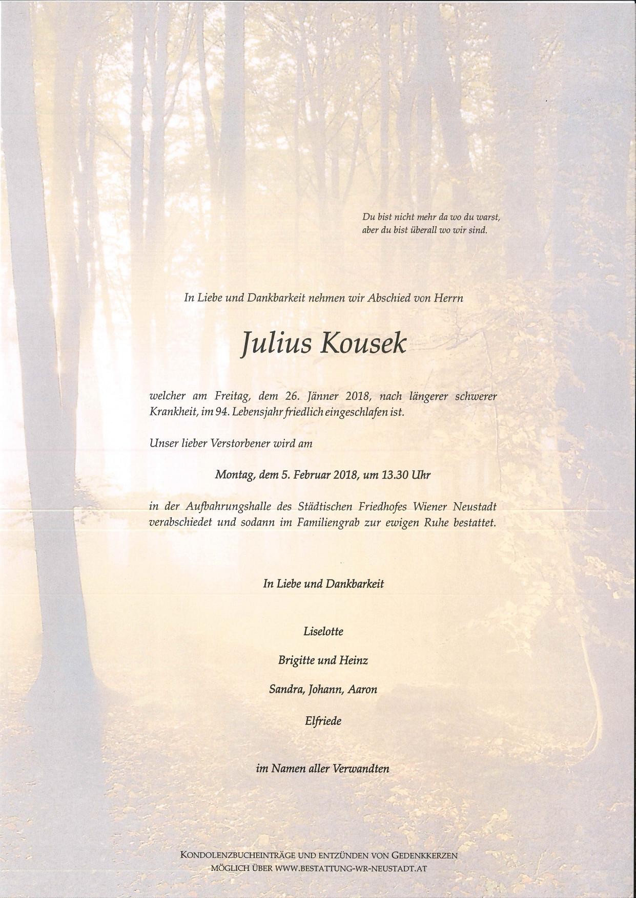Traueranzeige von Julius Kousek