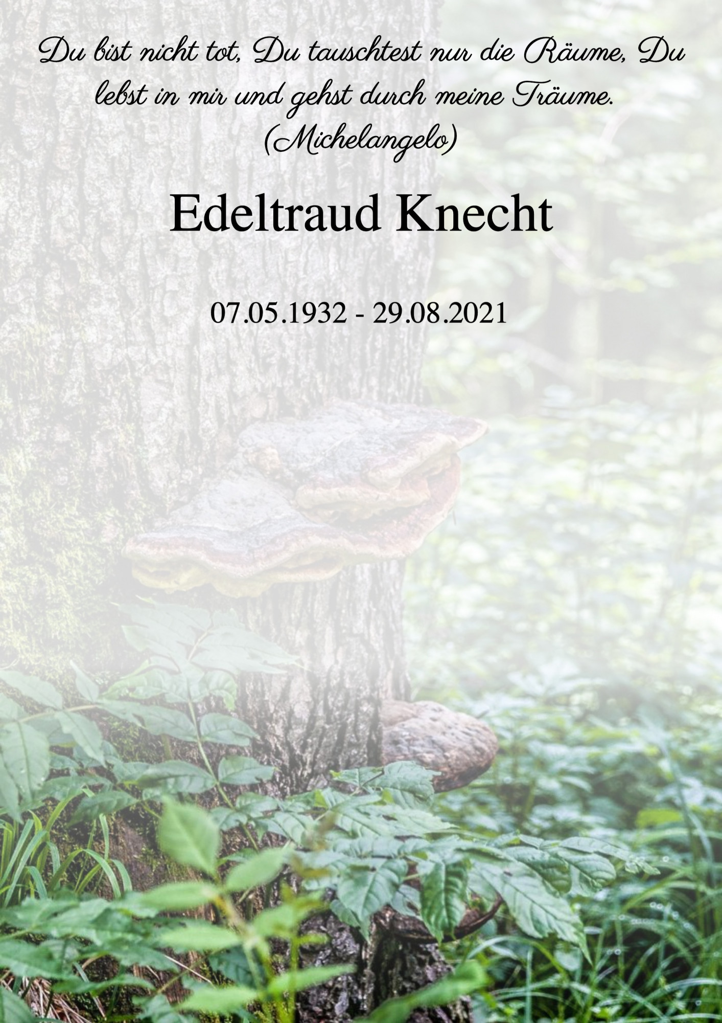 Traueranzeige von Edeltraud Knecht