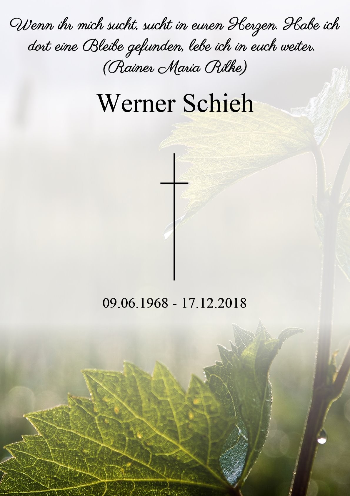 Traueranzeige von Werner Schieh