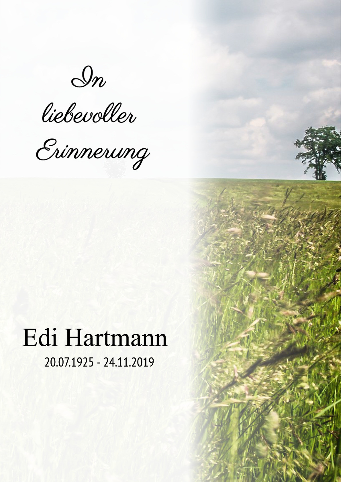 Traueranzeige von Edi Hartmann