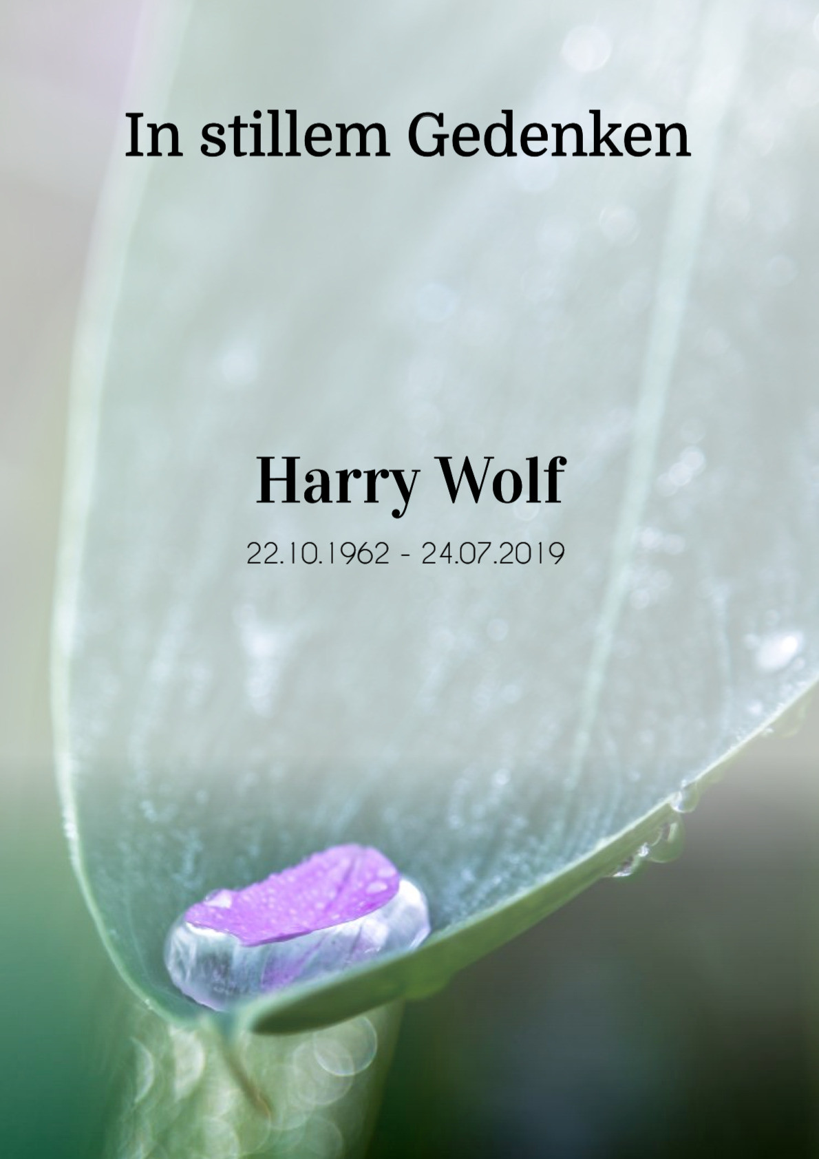 Traueranzeige von Harry Wolf