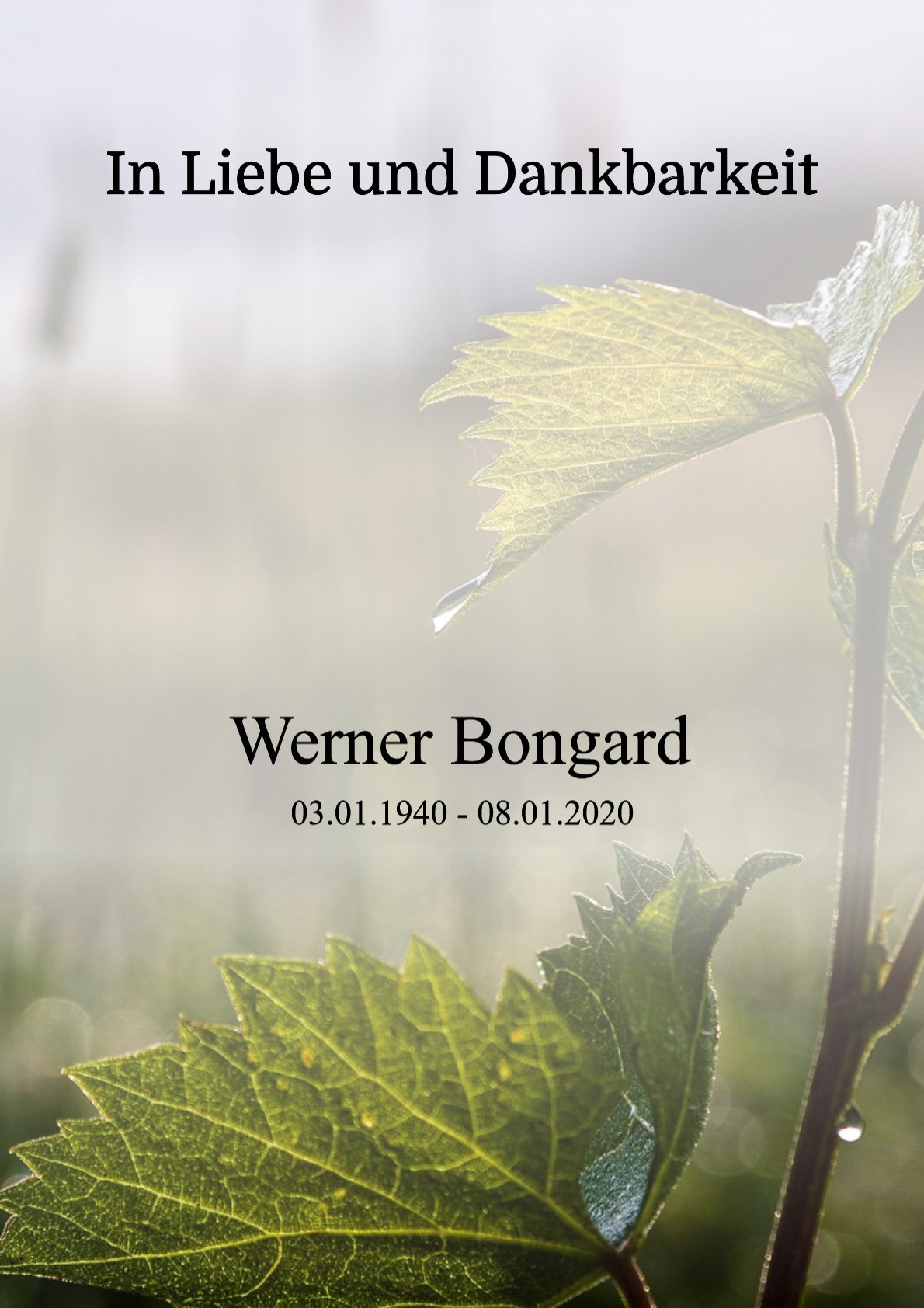 Traueranzeige von Werner Bongard