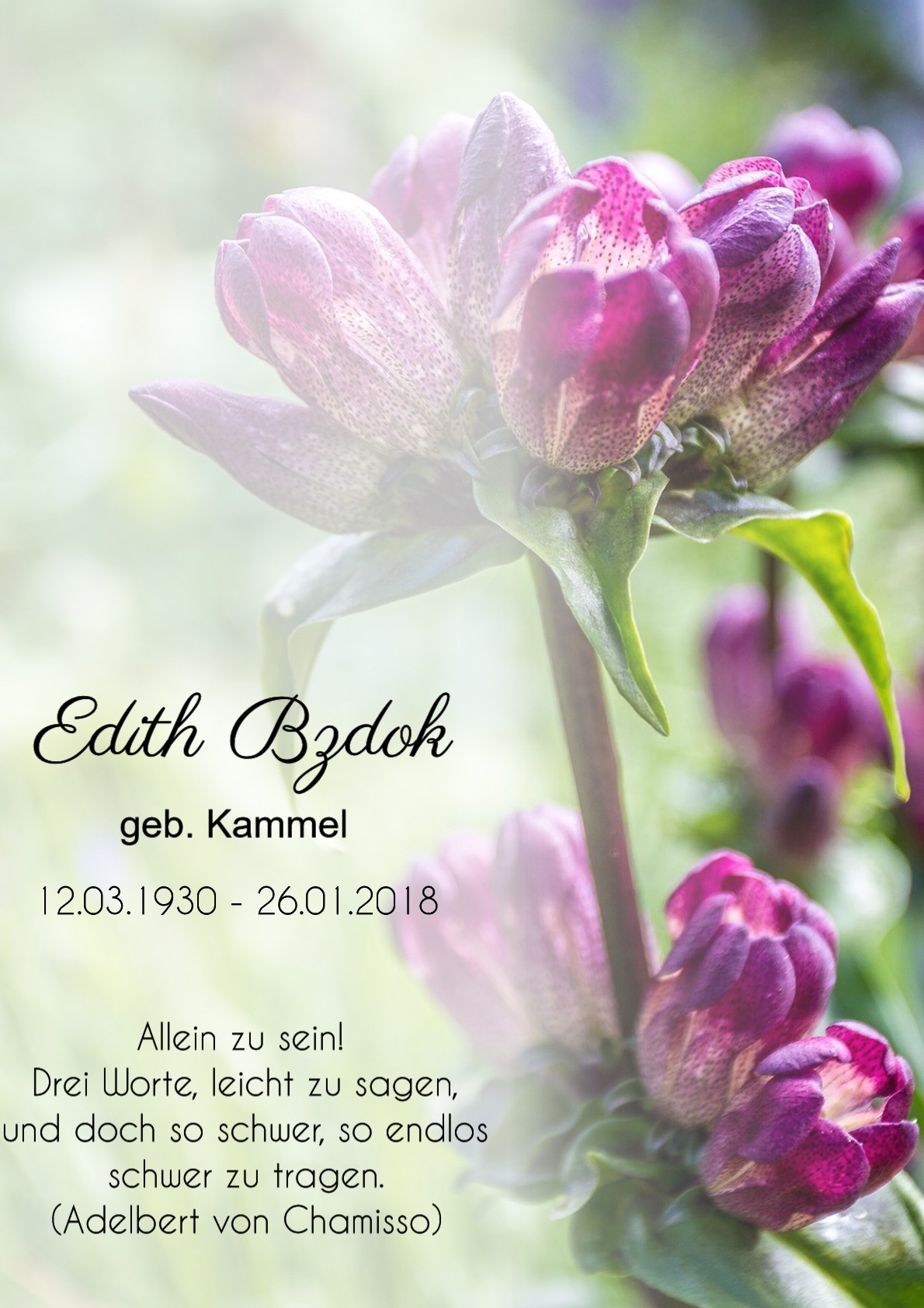 Traueranzeige von Edith Bzdok