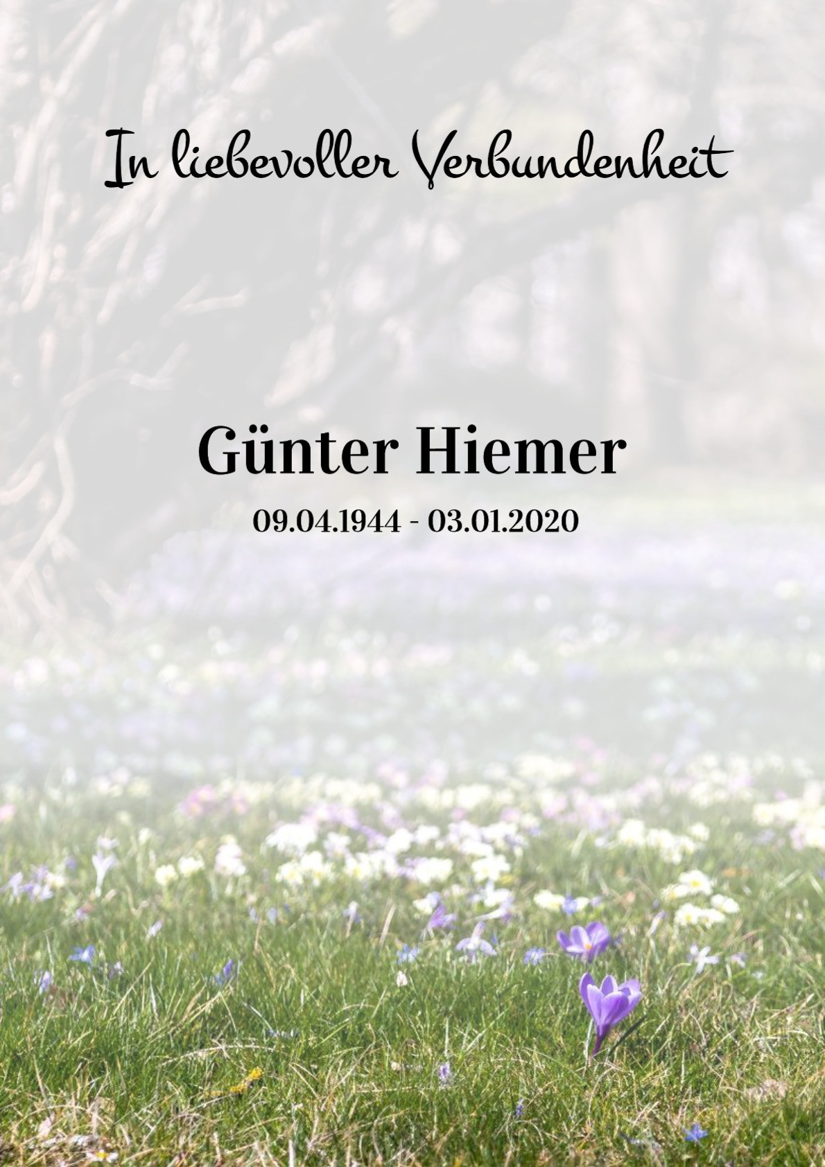 Traueranzeige von Günter Hiemer