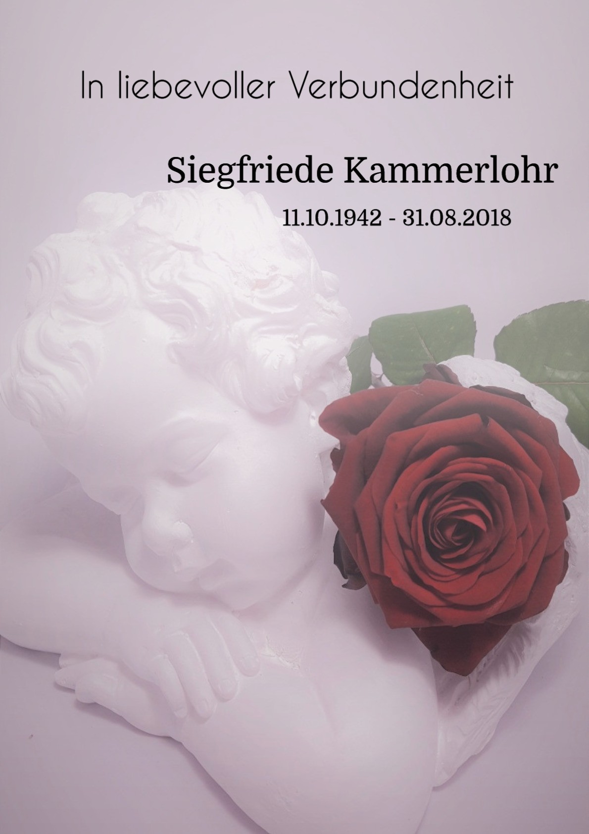 Traueranzeige von Siegfriede Kammerlohr