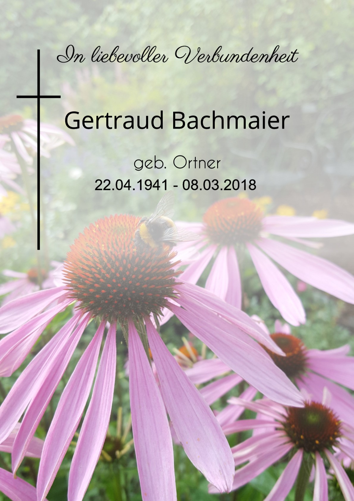 Traueranzeige von Gertraud Bachmaier