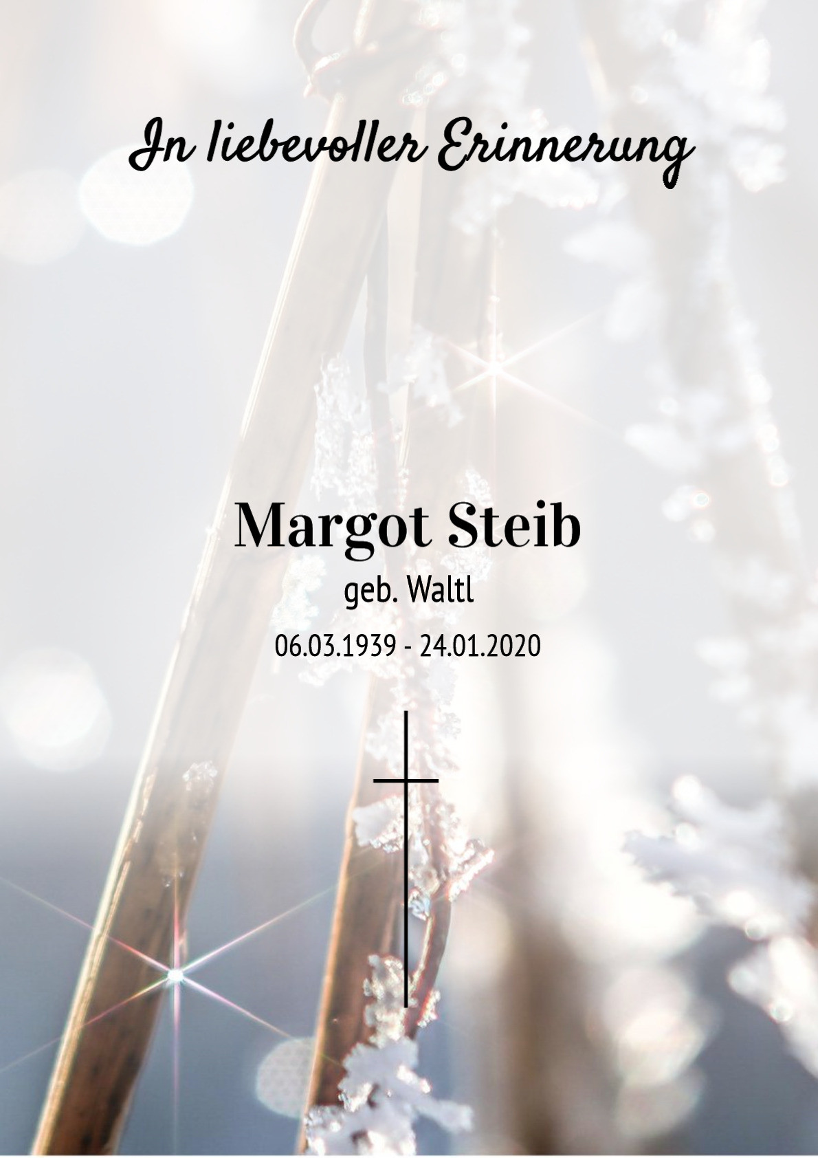Traueranzeige von Margot Steib