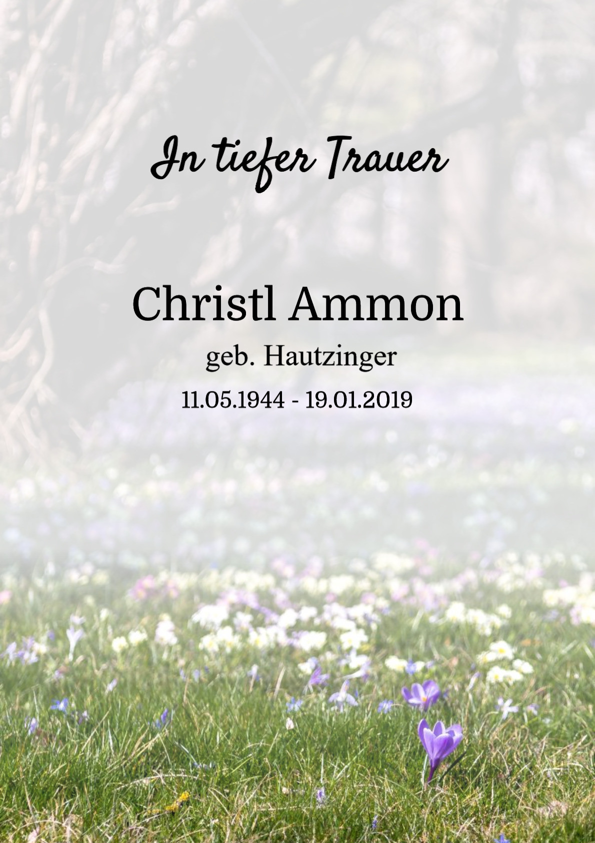 Traueranzeige von Christl Ammon