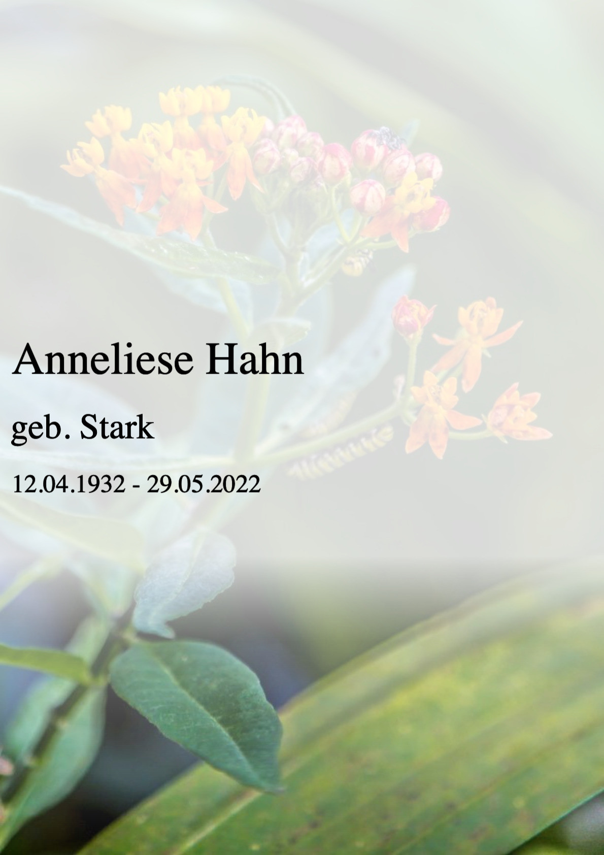 Traueranzeige von Anneliese Hahn