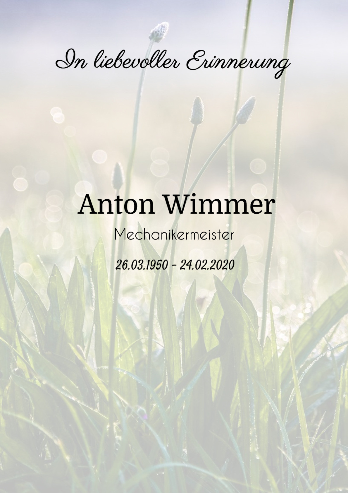 Traueranzeige von Anton Wimmer