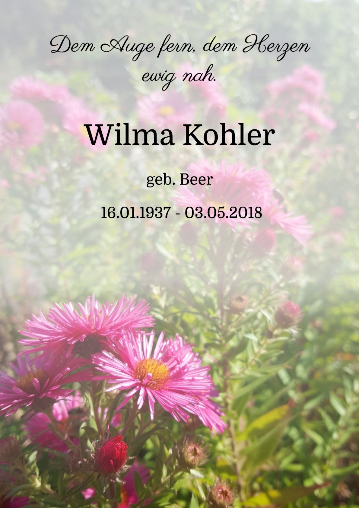 Traueranzeige von Wilma Kohler