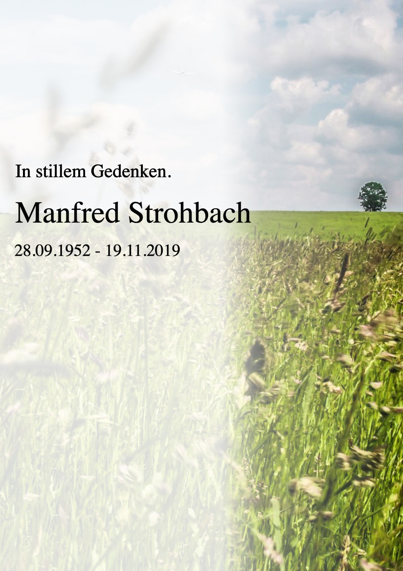 Traueranzeige von Manfred Strohbach