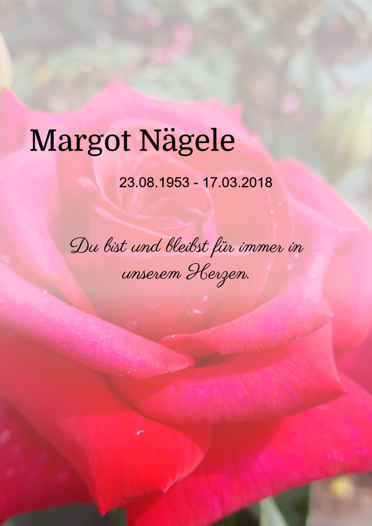Traueranzeige von Margot Nägele
