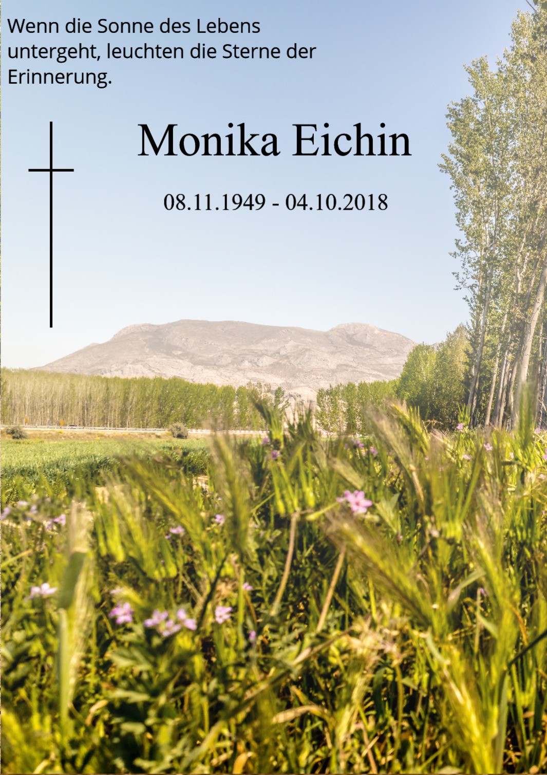 Traueranzeige von Monika Eichin