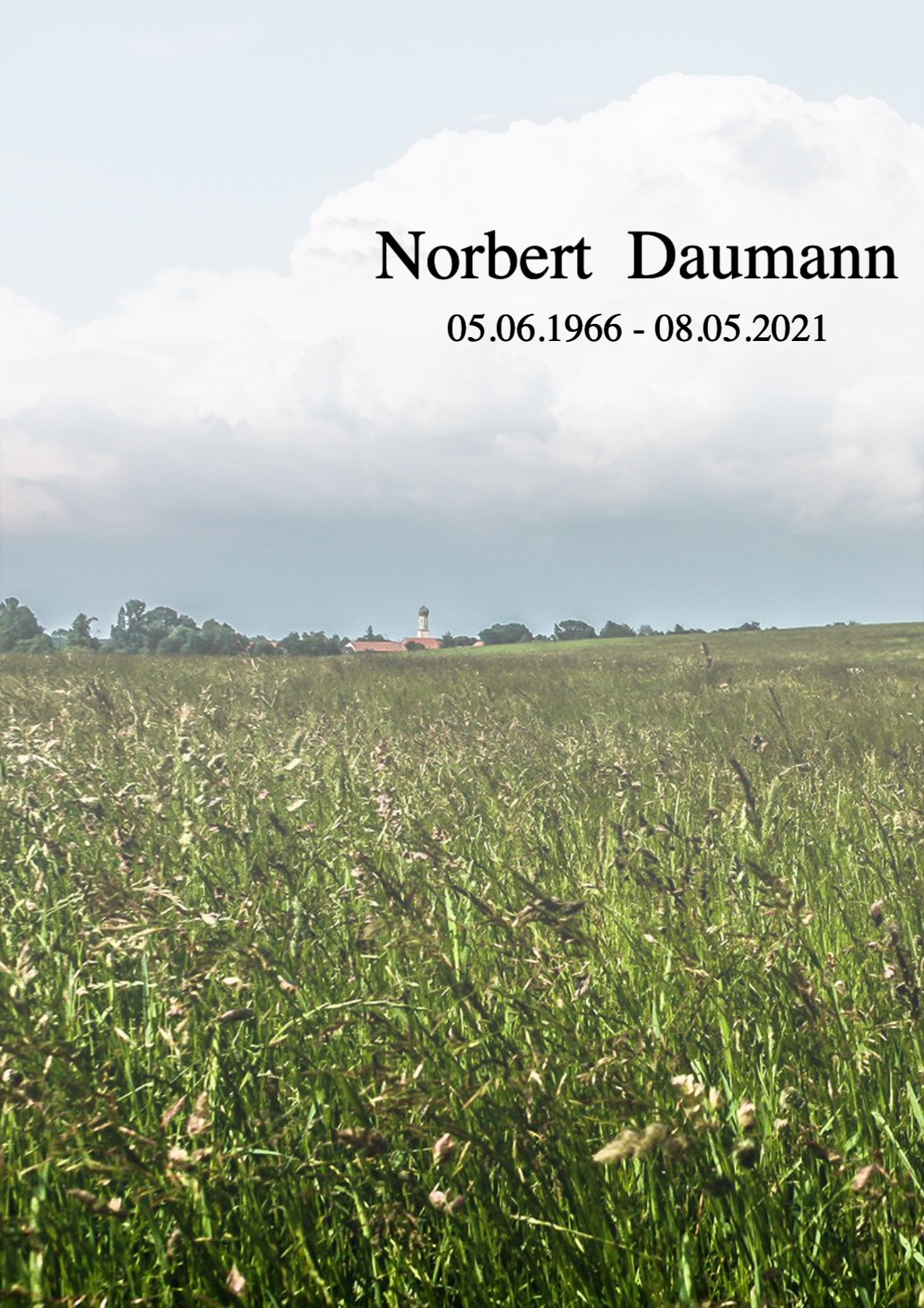 Traueranzeige von Norbert Daumann