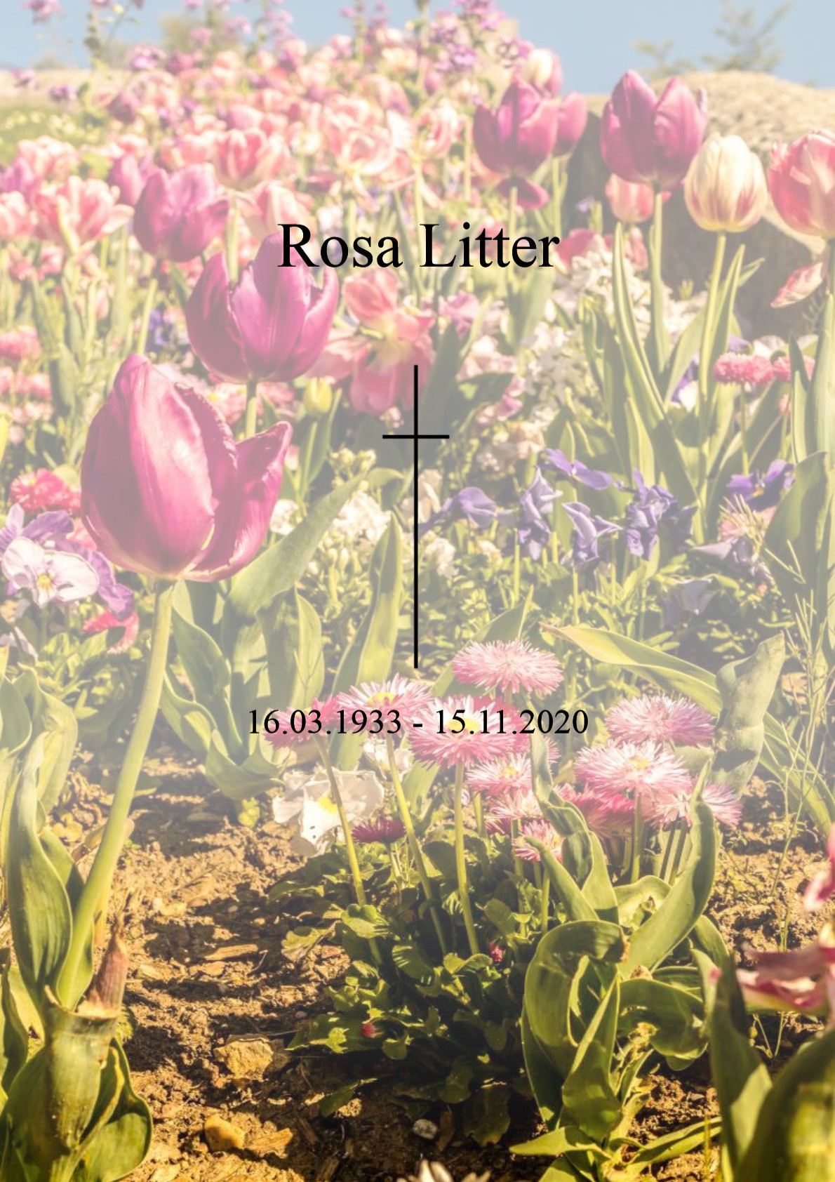 Traueranzeige von Rosa Litter