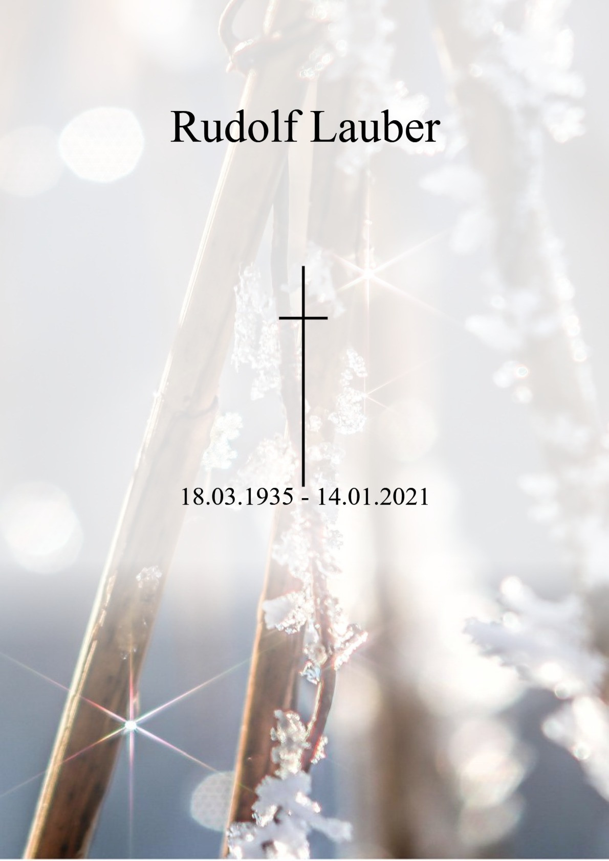 Traueranzeige von Rudolf Lauber