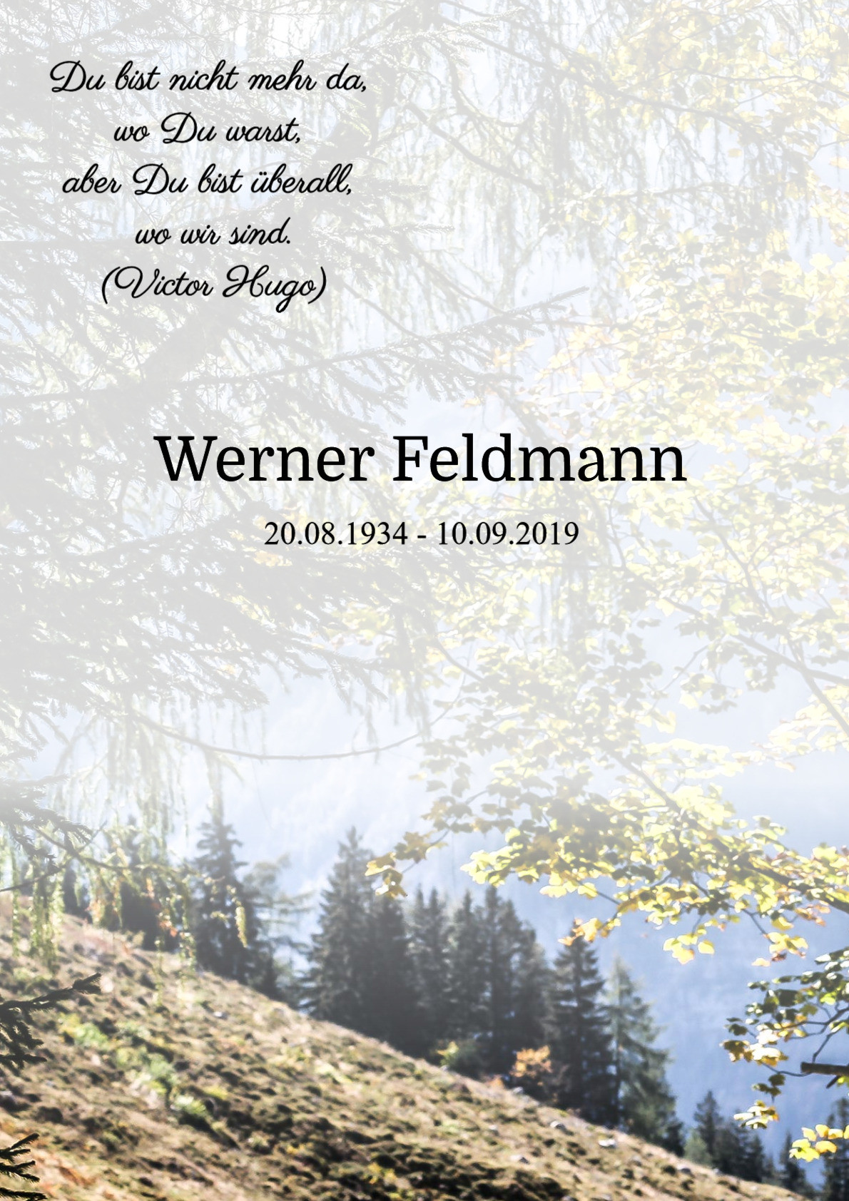 Traueranzeige von Werner Feldmann