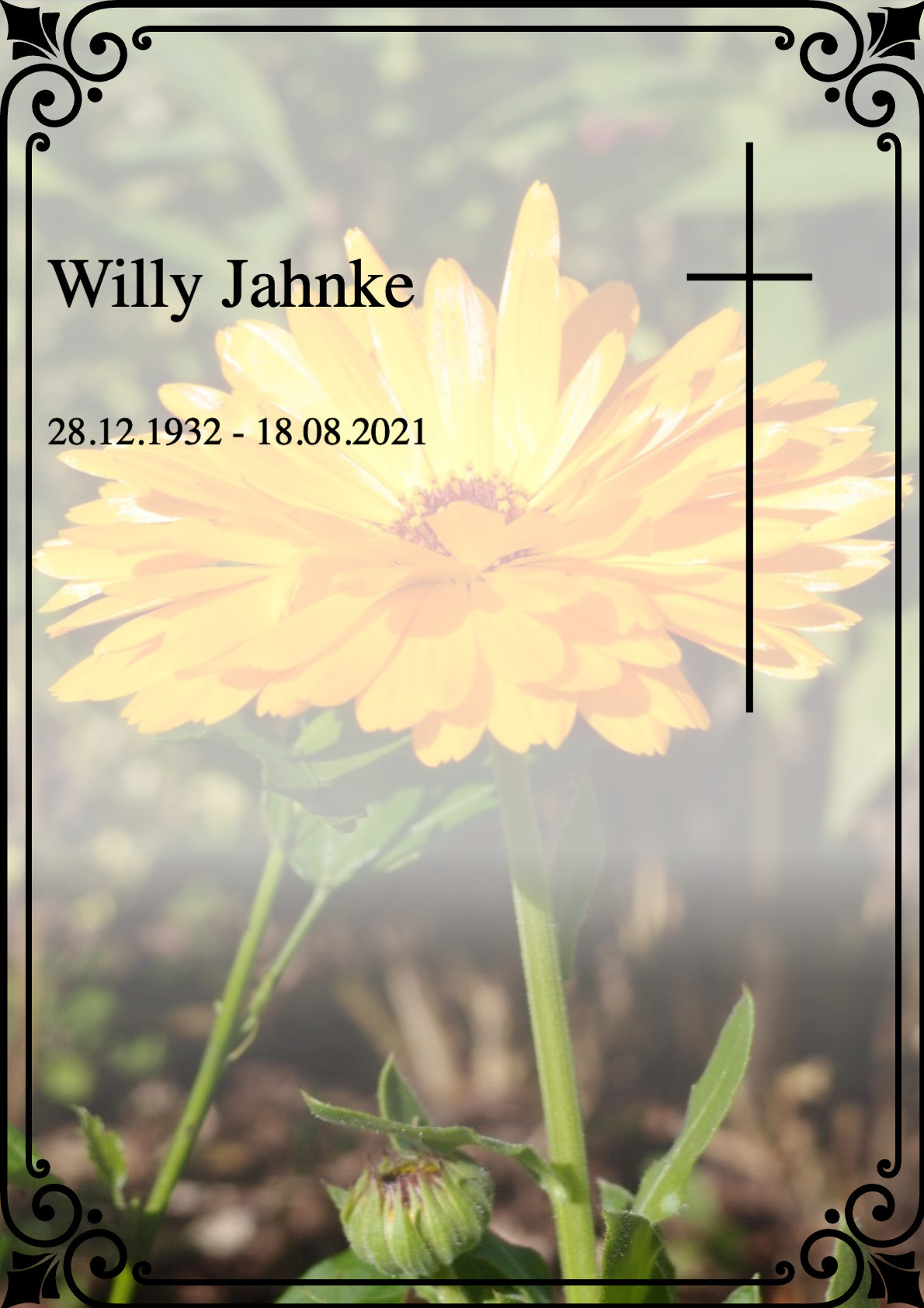 Traueranzeige von Willy Jahnke