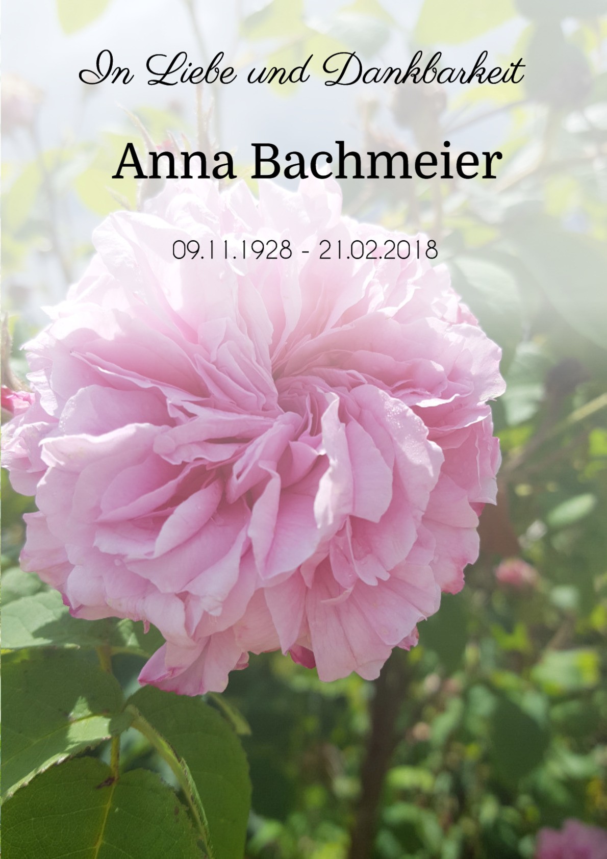 Traueranzeige von Anna Bachmeier