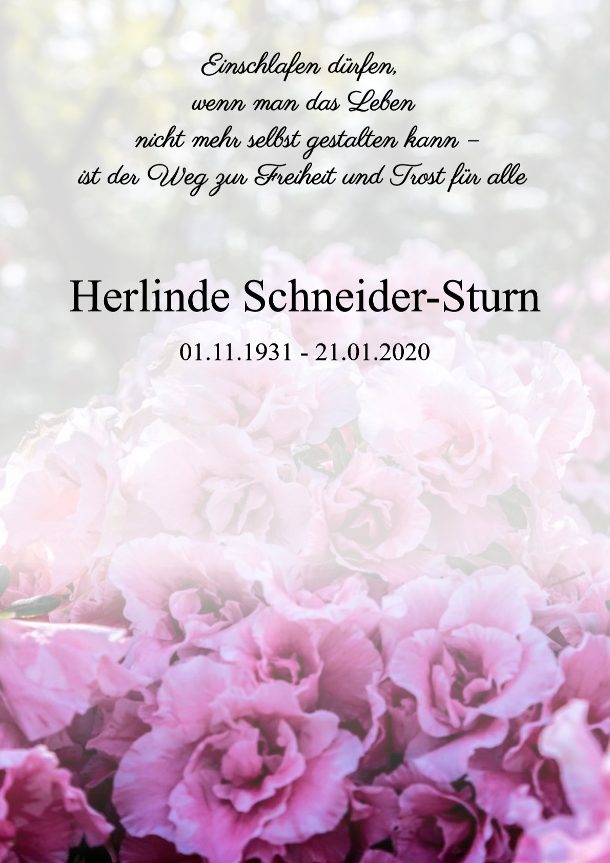 Traueranzeige von Herlinde Schneider-Sturn