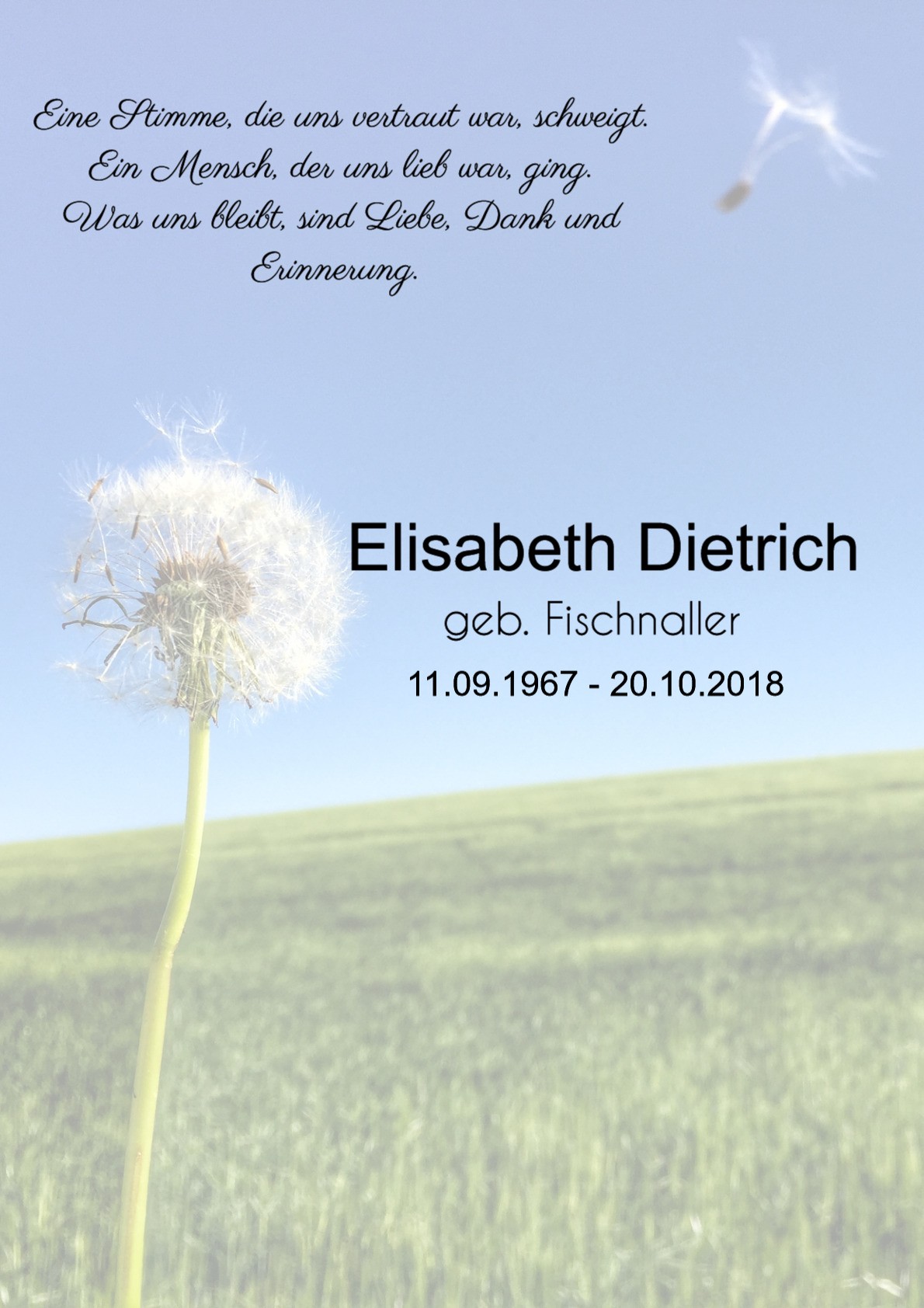 Traueranzeige von Elisabeth Dietrich
