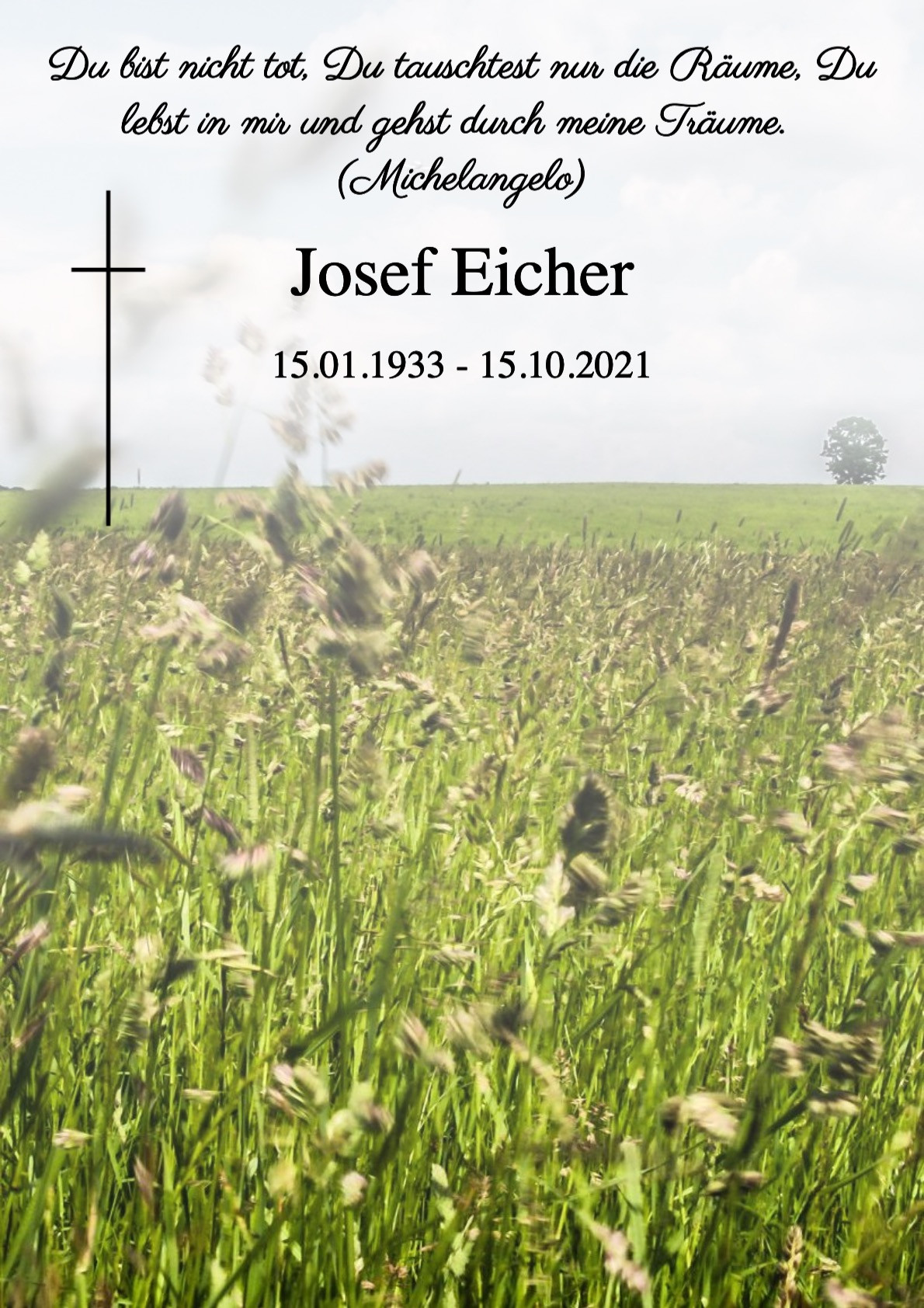 Traueranzeige von Josef Eicher