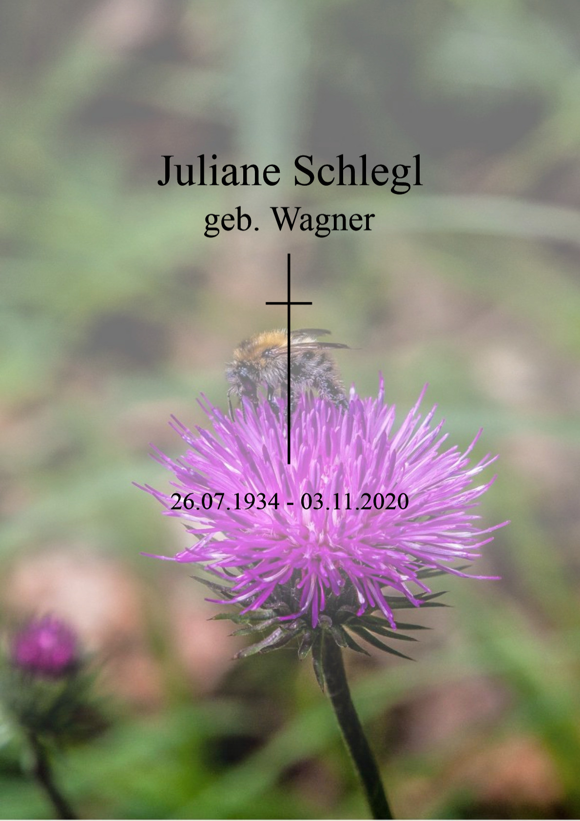 Traueranzeige von Juliane Schlegl
