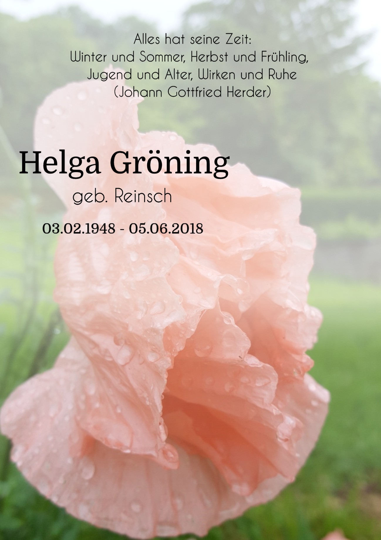 Traueranzeige von Helga Gröning