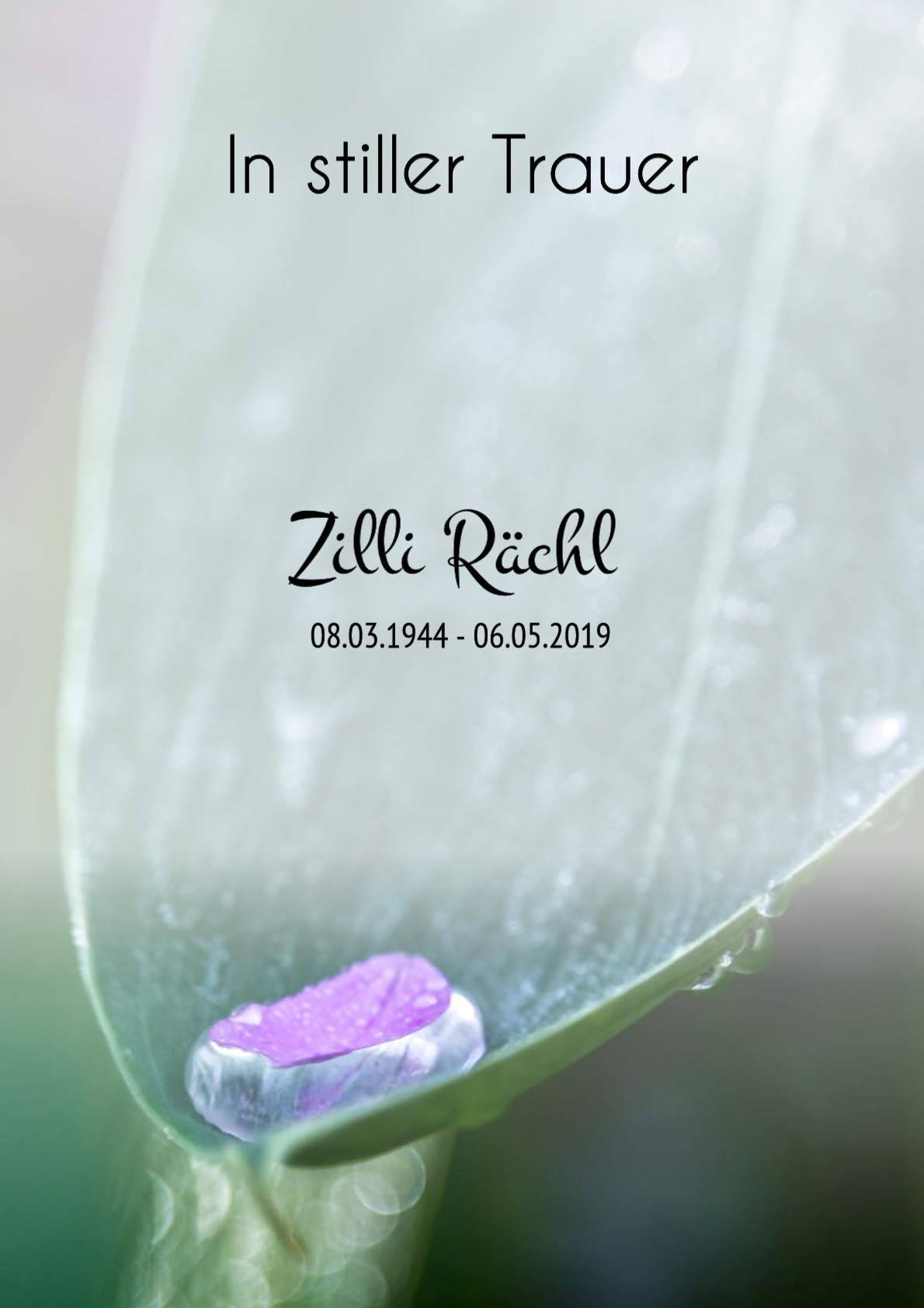 Traueranzeige von Zilli Rächl