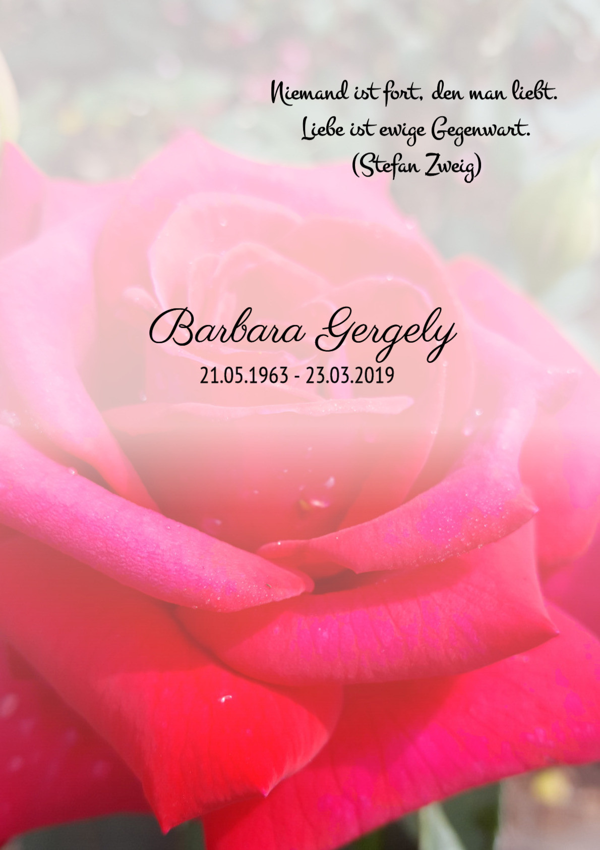 Traueranzeige von Barbara Gergely