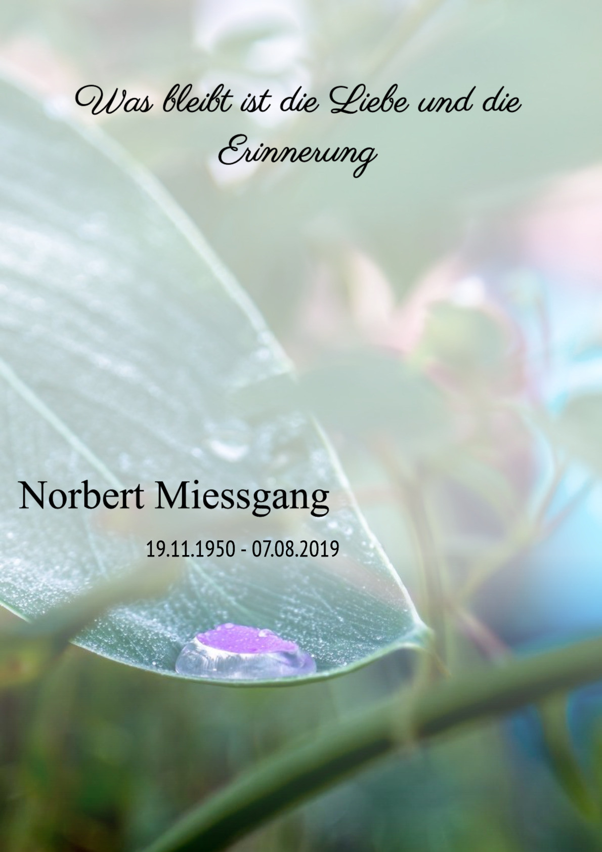 Traueranzeige von Norbert Miessgang