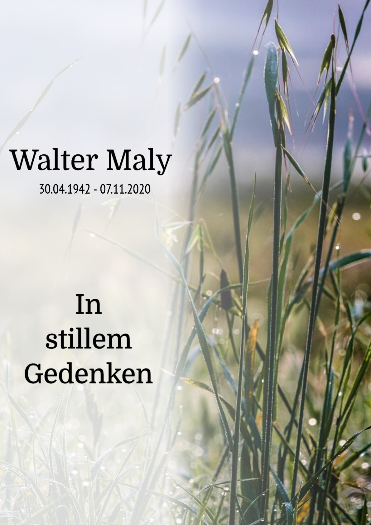 Traueranzeige von Walter Maly
