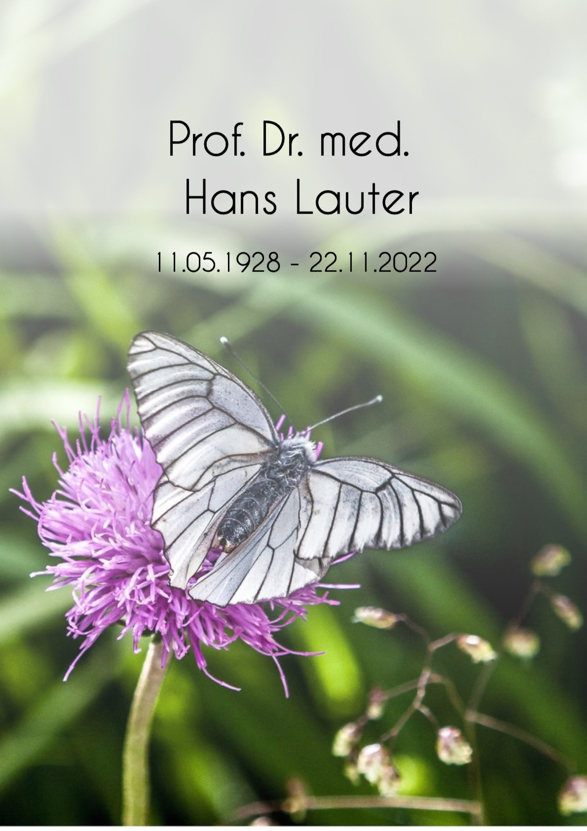 Traueranzeige von Prof. Dr. med. Hans Lauter