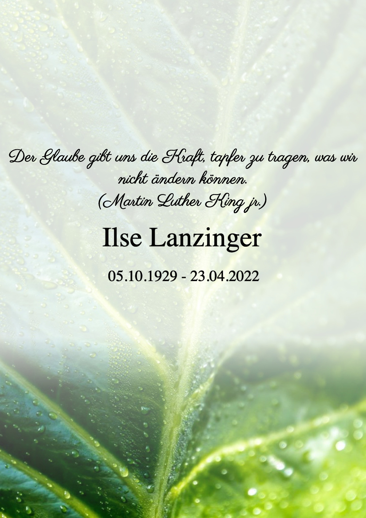 Traueranzeige von Ilse Lanzinger