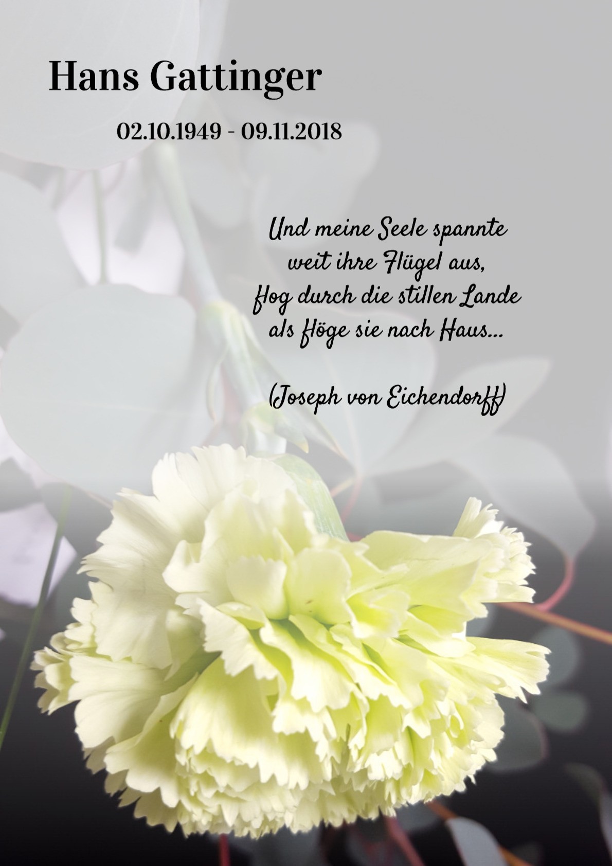Traueranzeige von Hans Gattinger