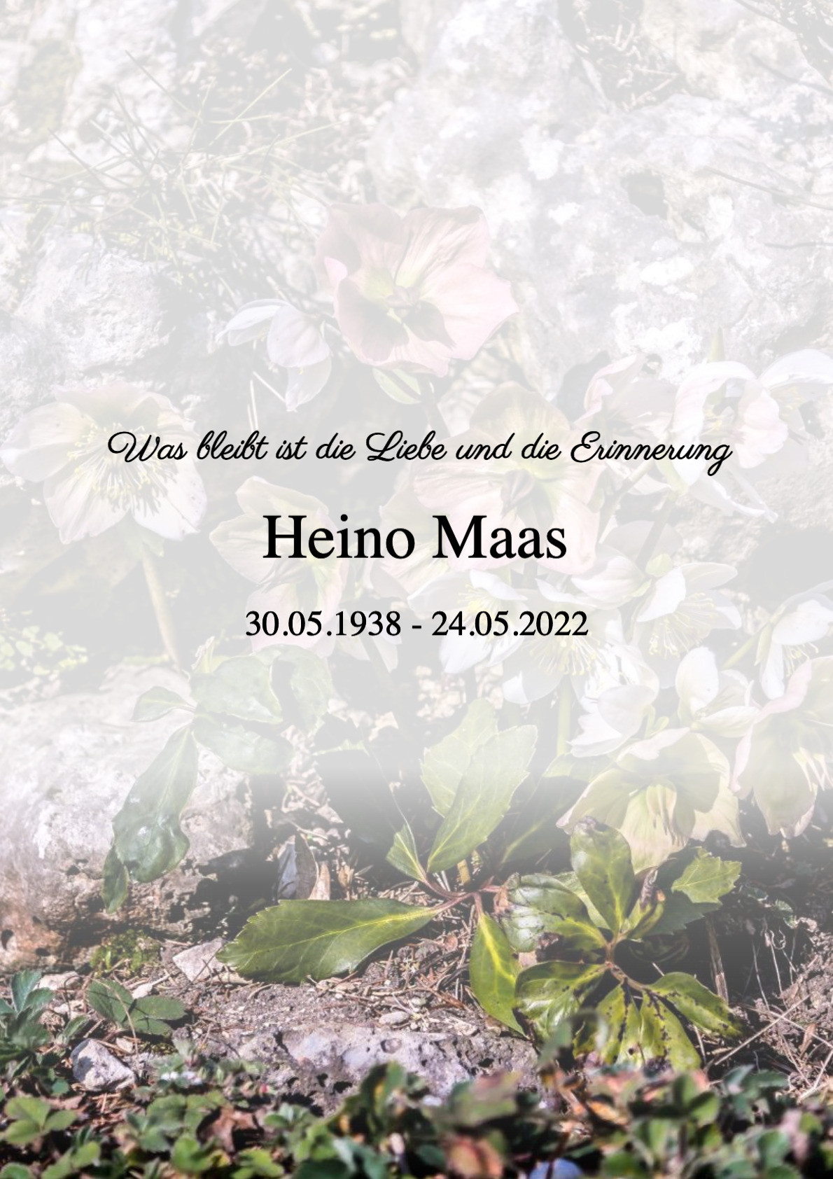 Traueranzeige von Heino Maas