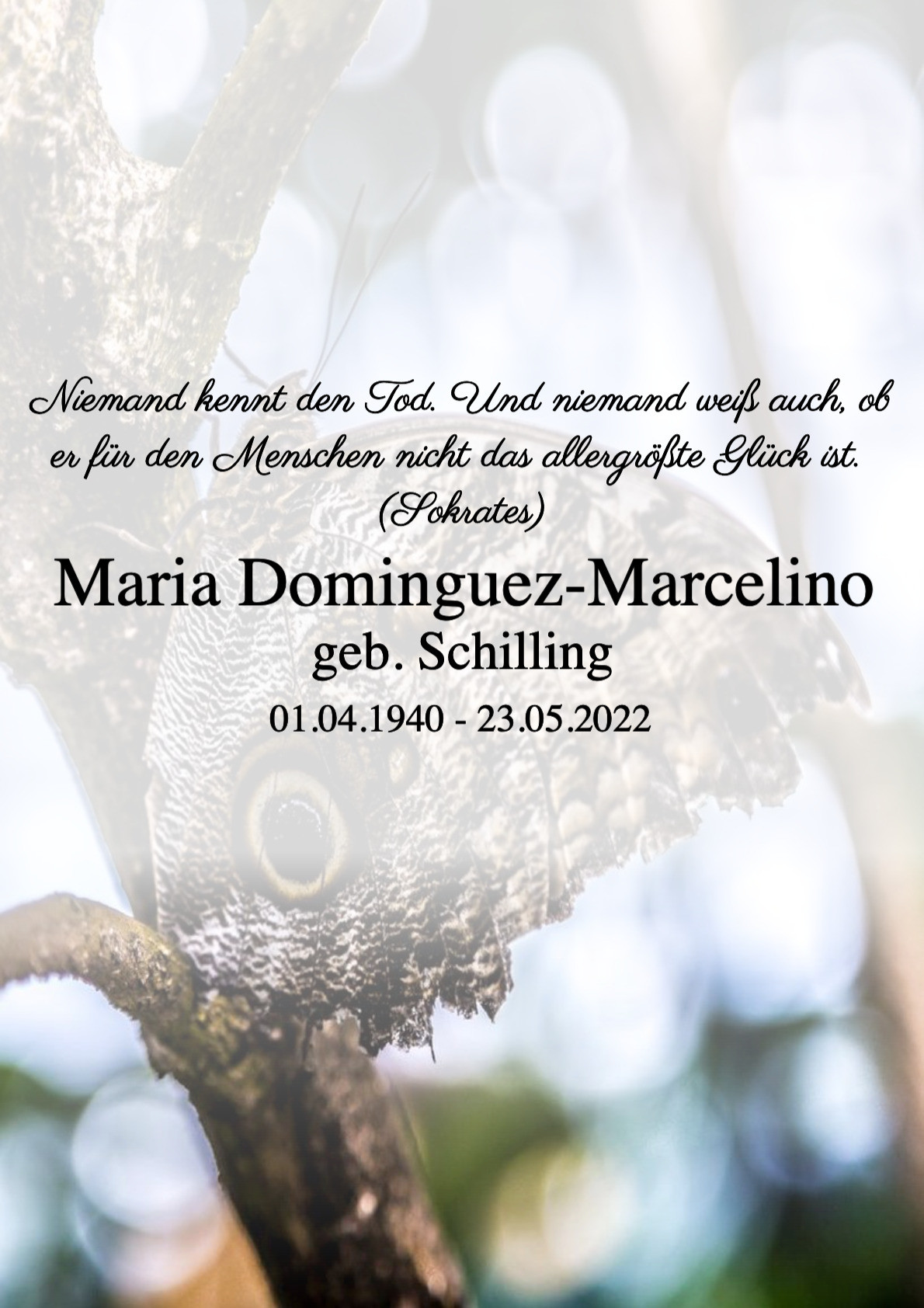 Traueranzeige von Maria Dominguez-Marcelino