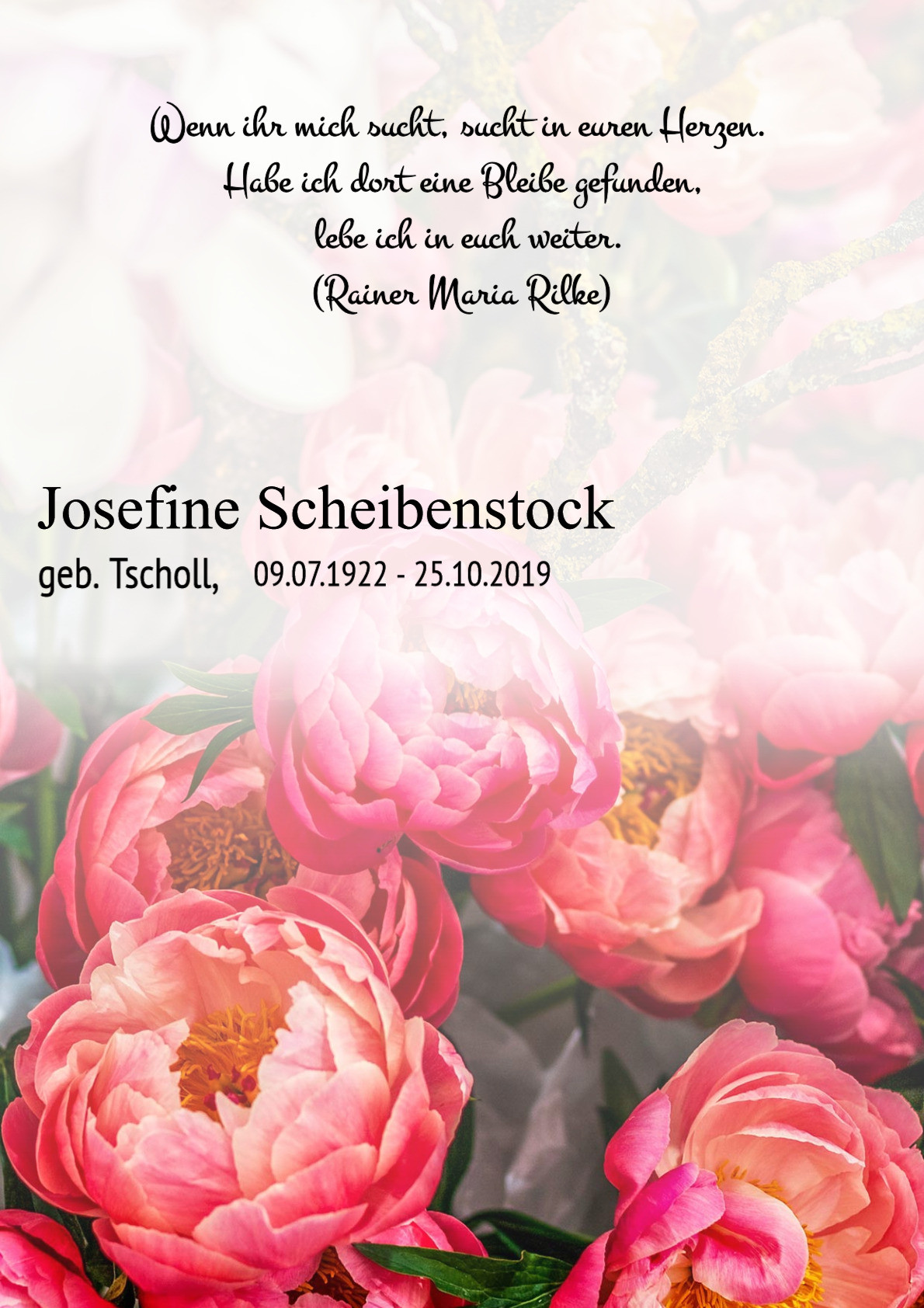 Traueranzeige von Josefine Scheibenstock